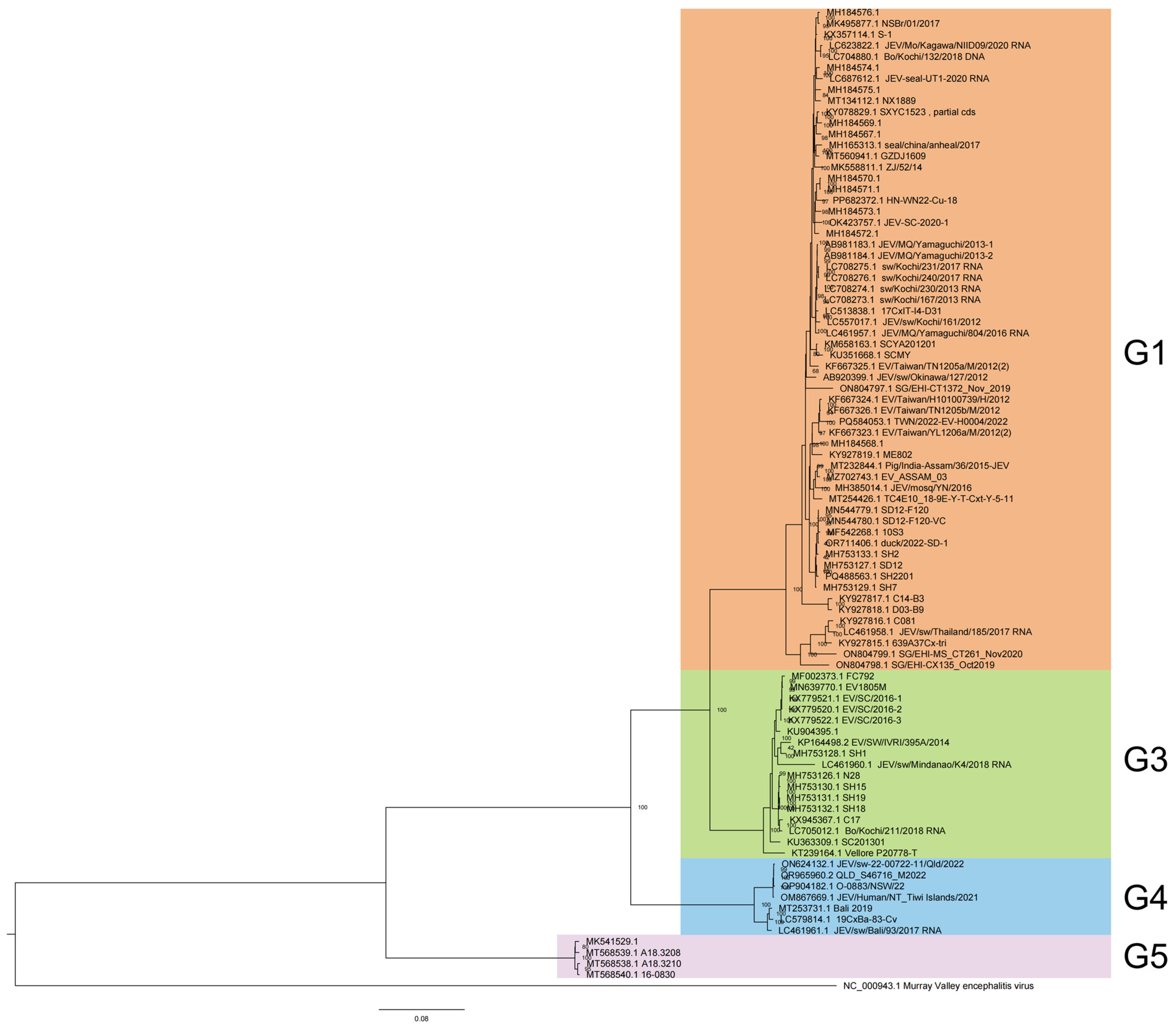Viruses 17 00815 g001