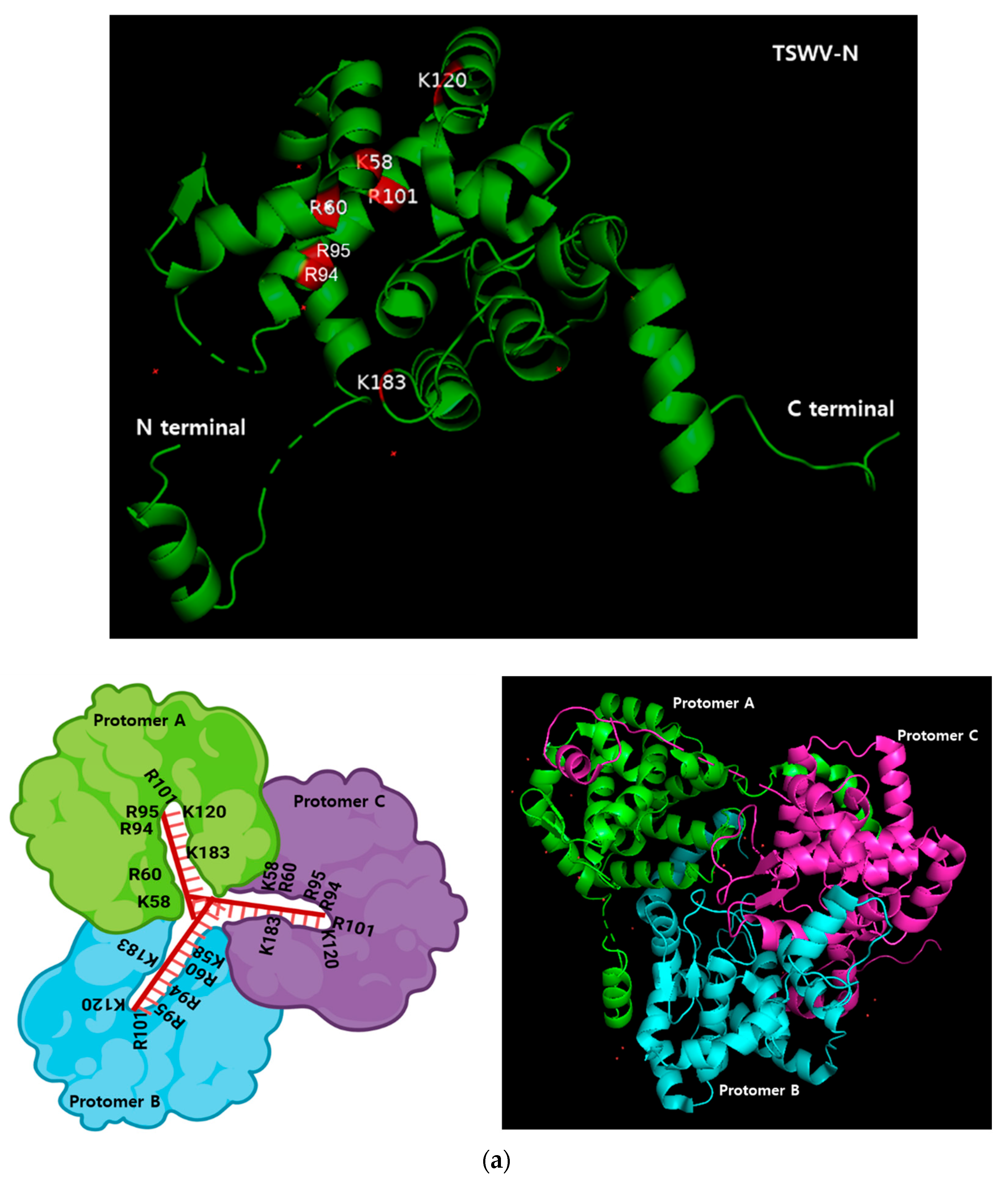 Viruses 17 00826 g003a Viruses 17 00826 g003a