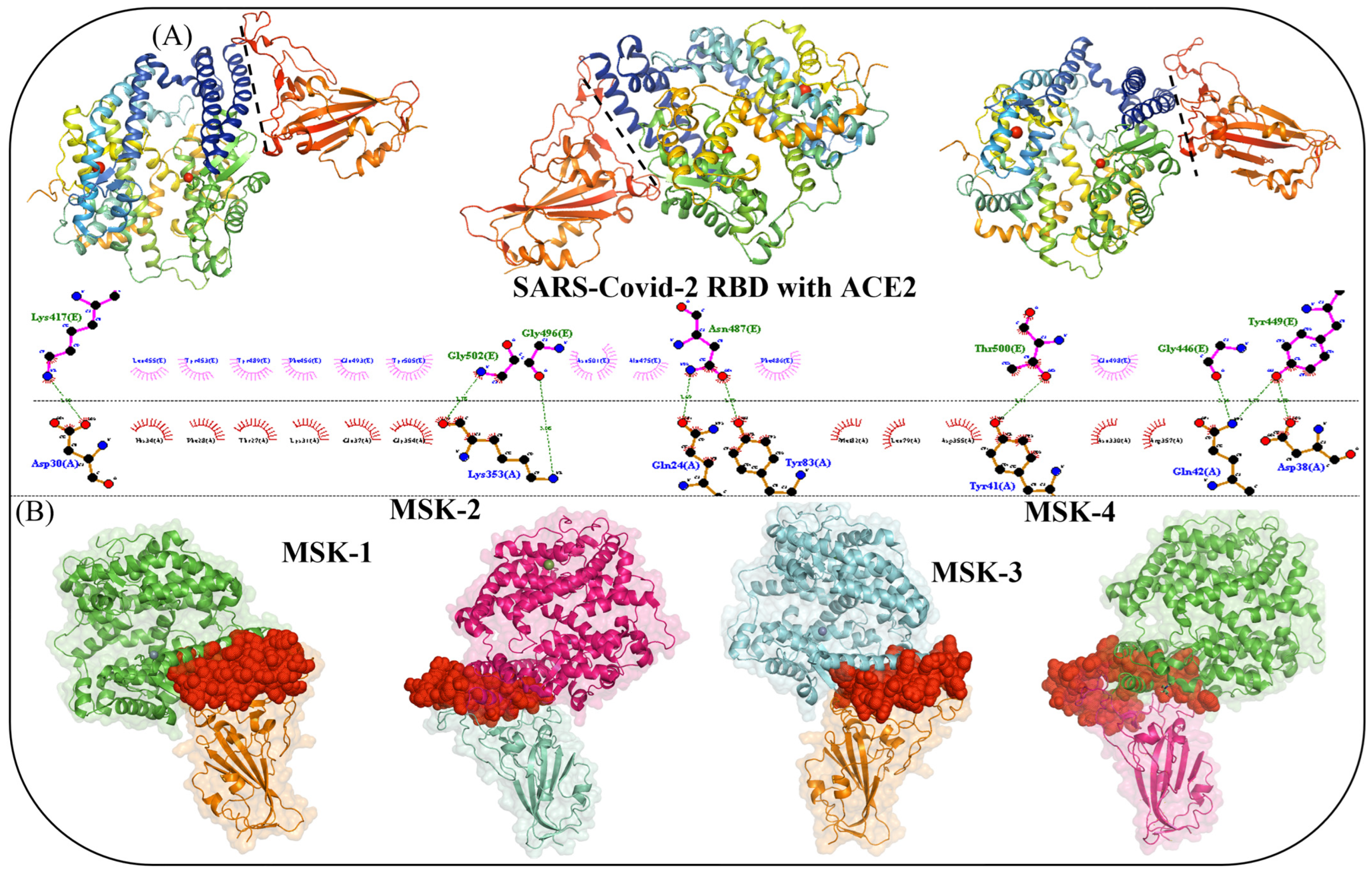 Viruses 17 00828 g002