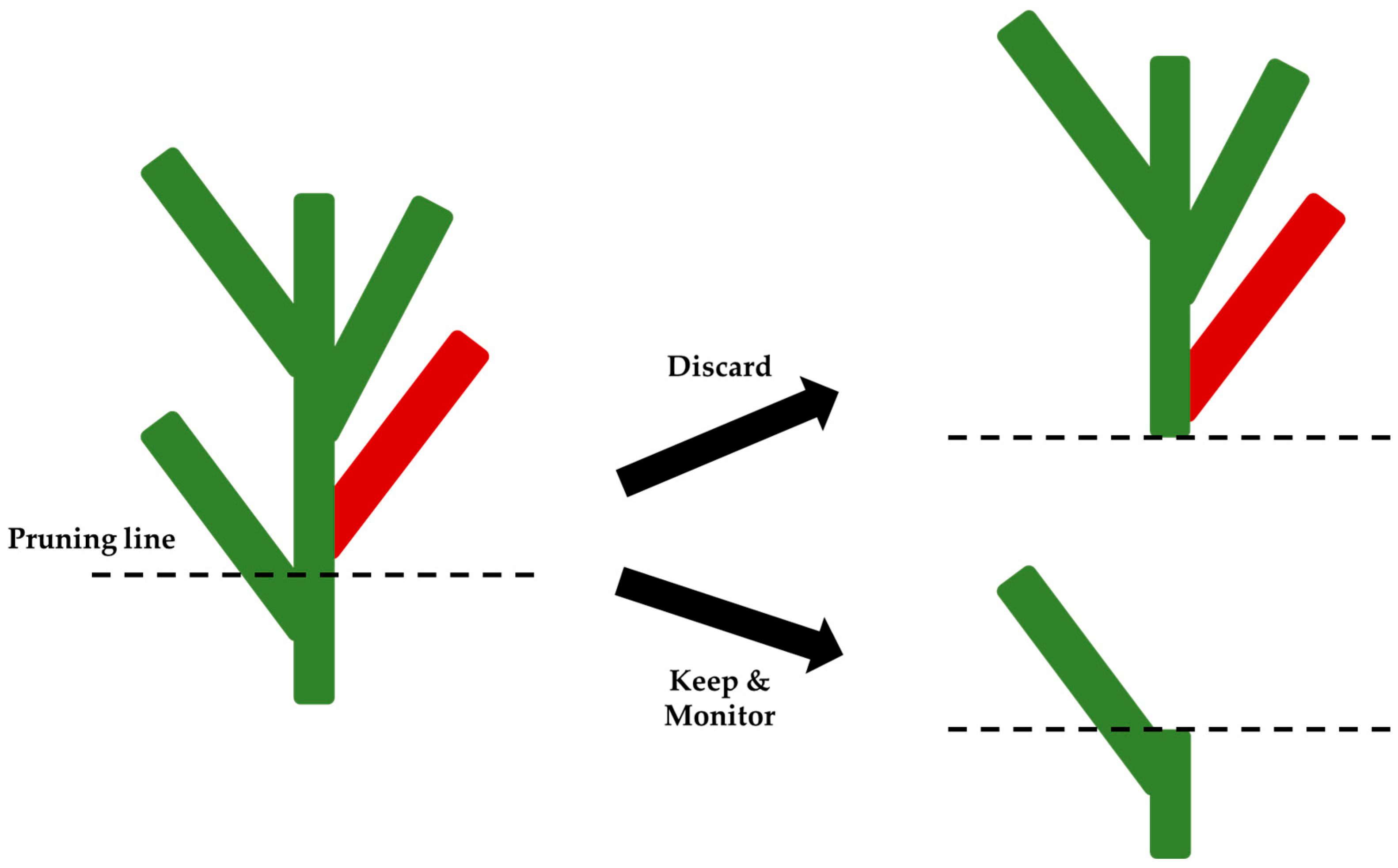 Viruses 17 00829 g002