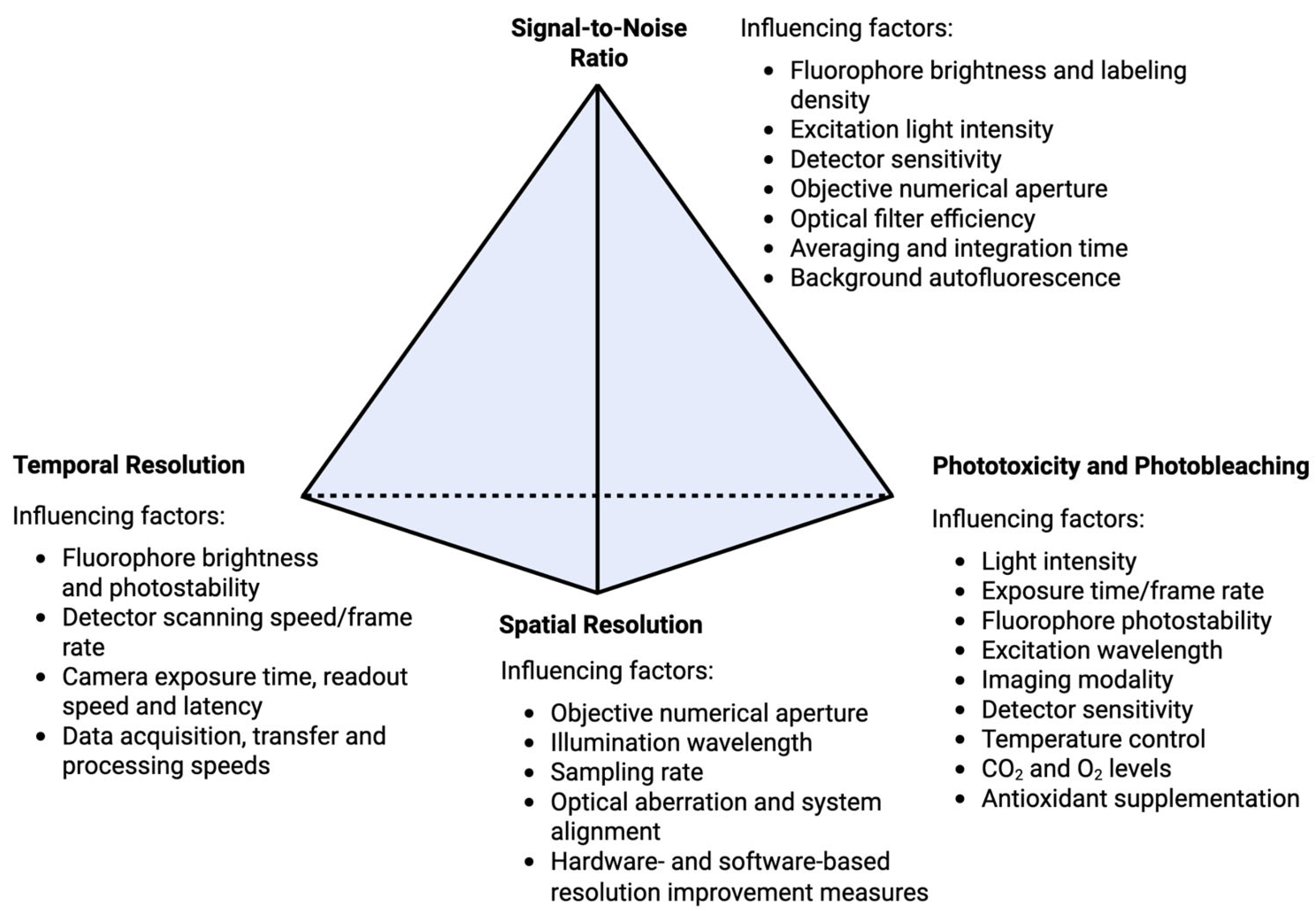 Viruses 17 00847 g004
