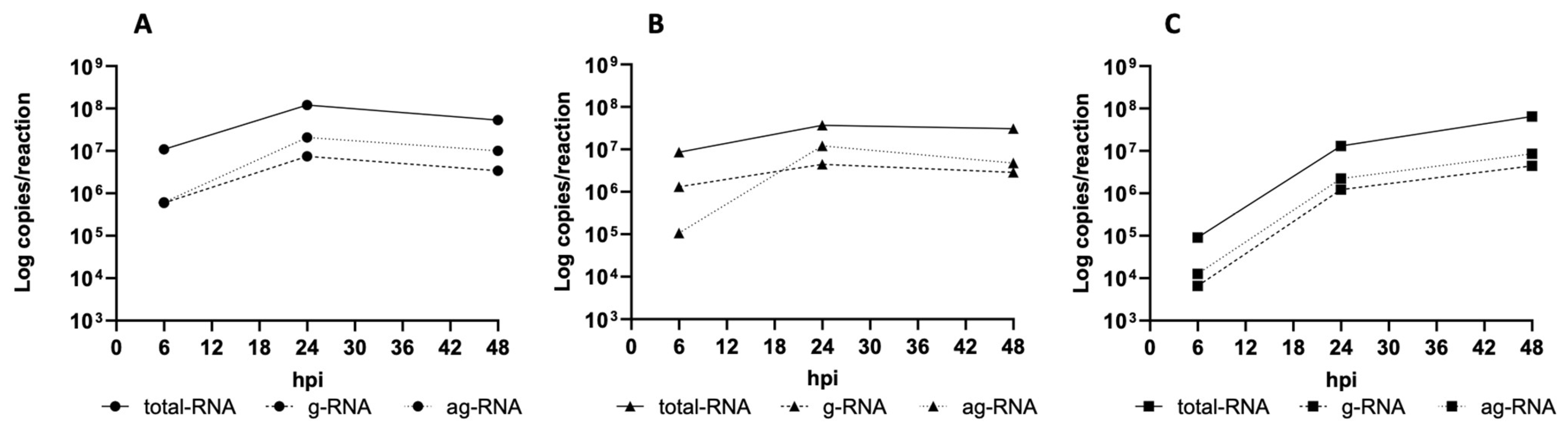 Viruses 17 00852 g002