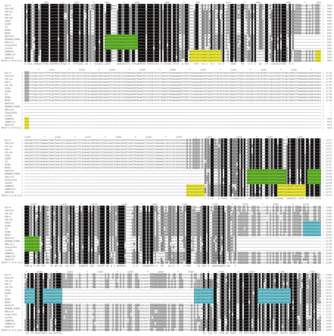 Viruses 17 00853 g001