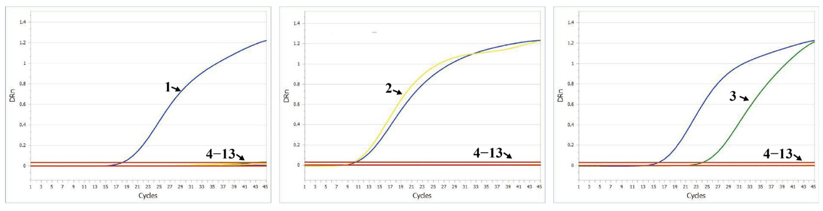 Viruses 17 00853 g006