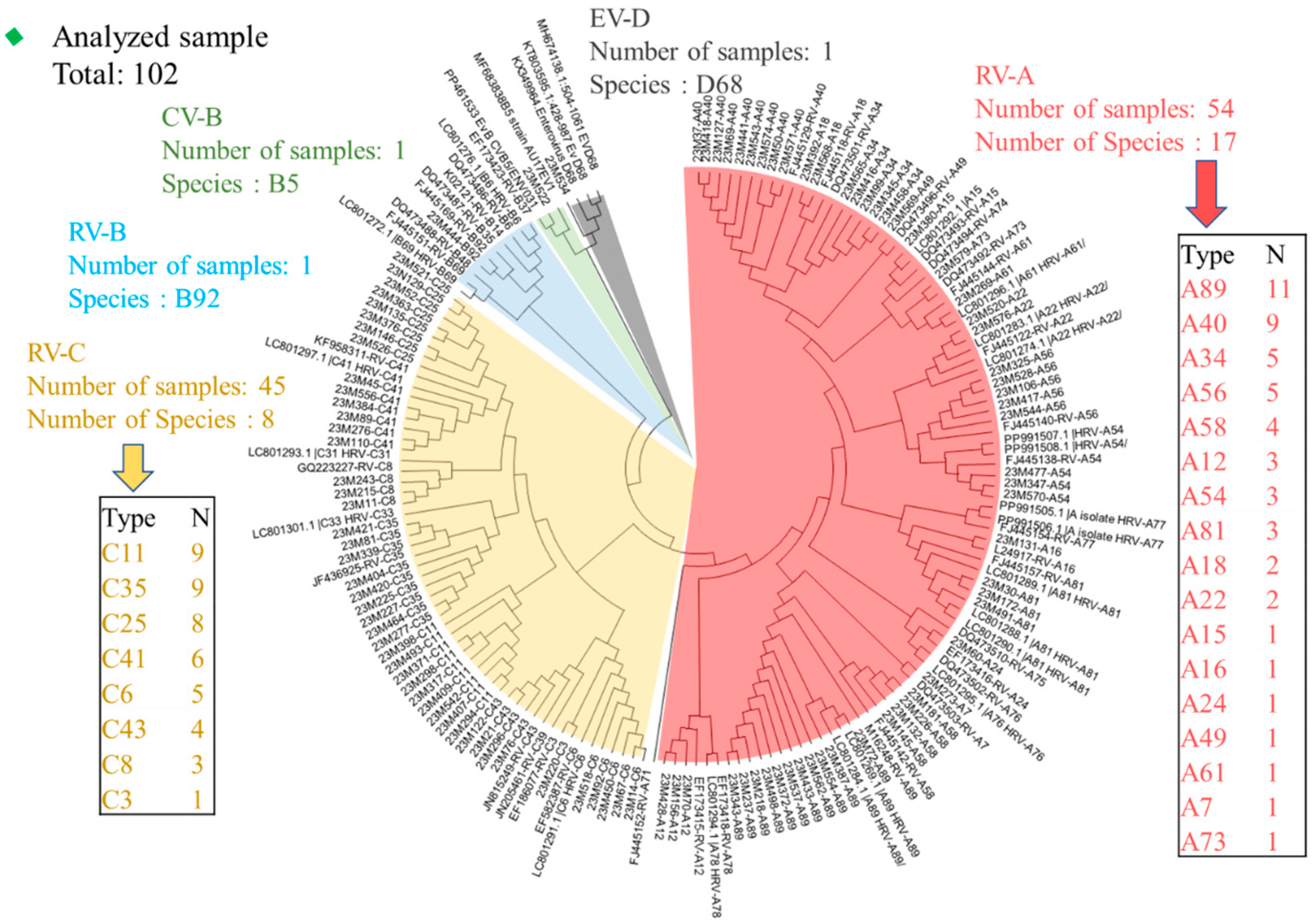 Viruses 17 00860 g003