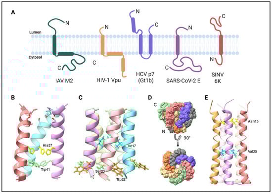 Viruses 17 00868 g004