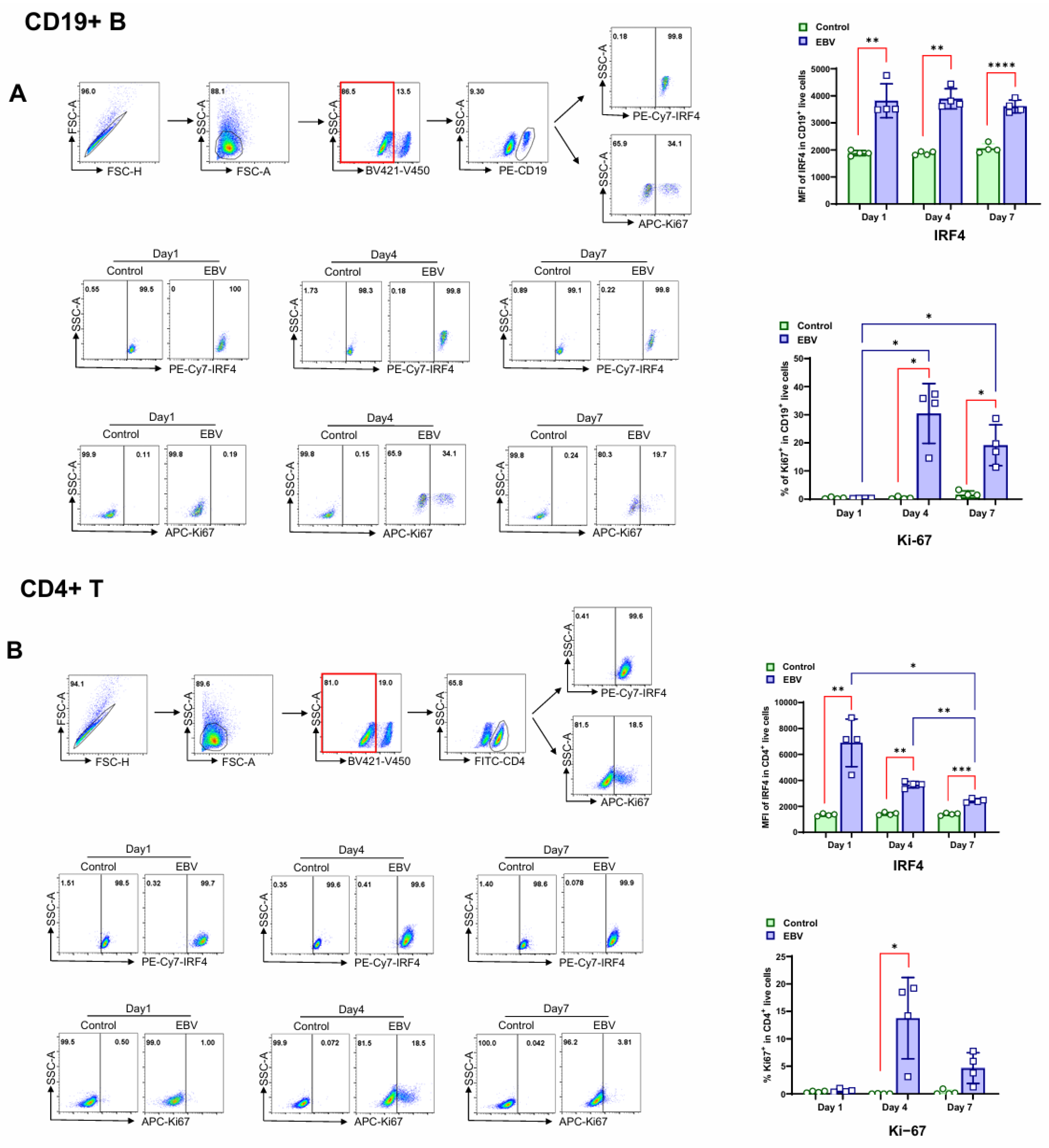 Viruses 17 00885 g002