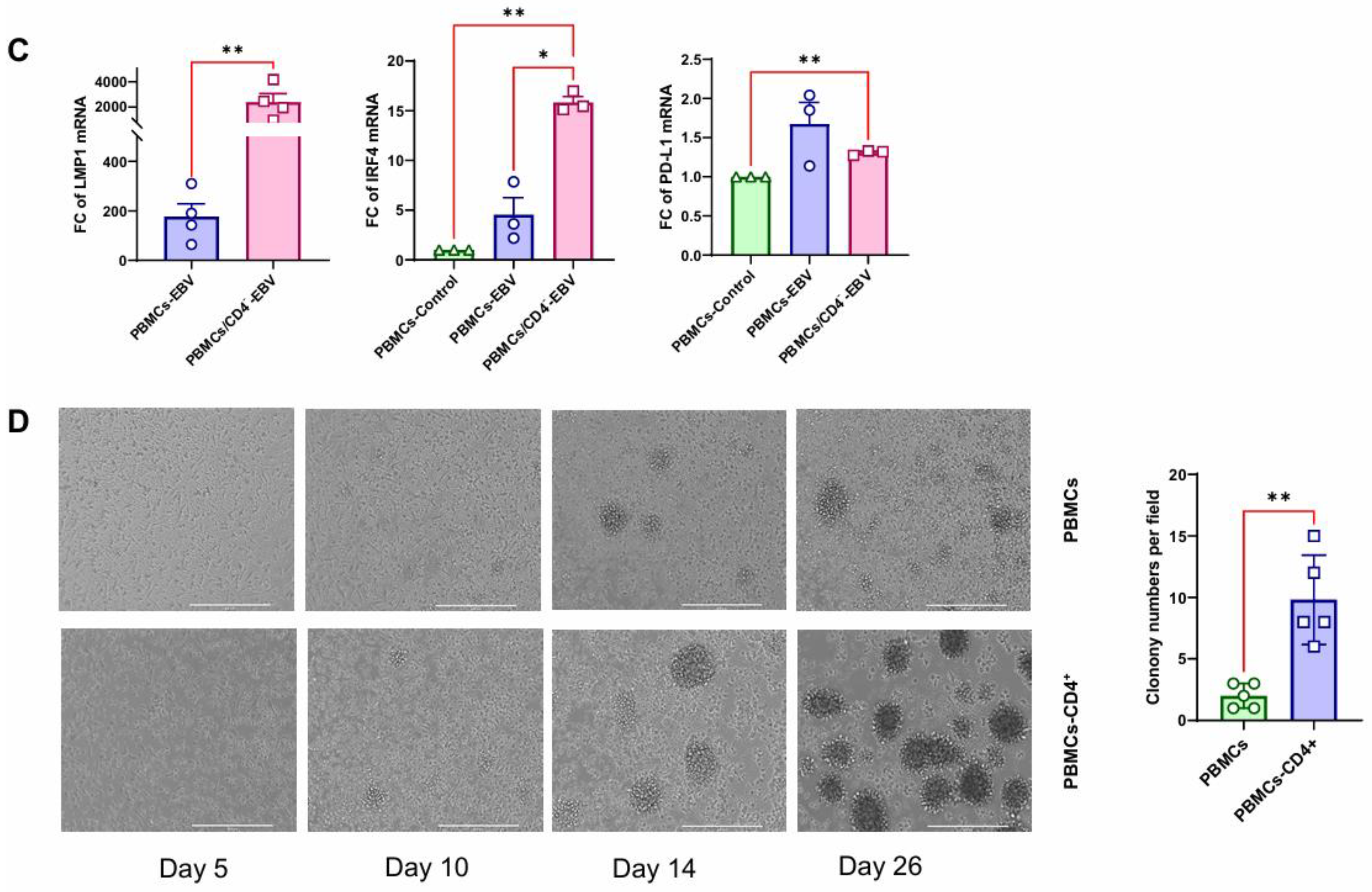 Viruses 17 00885 g004b