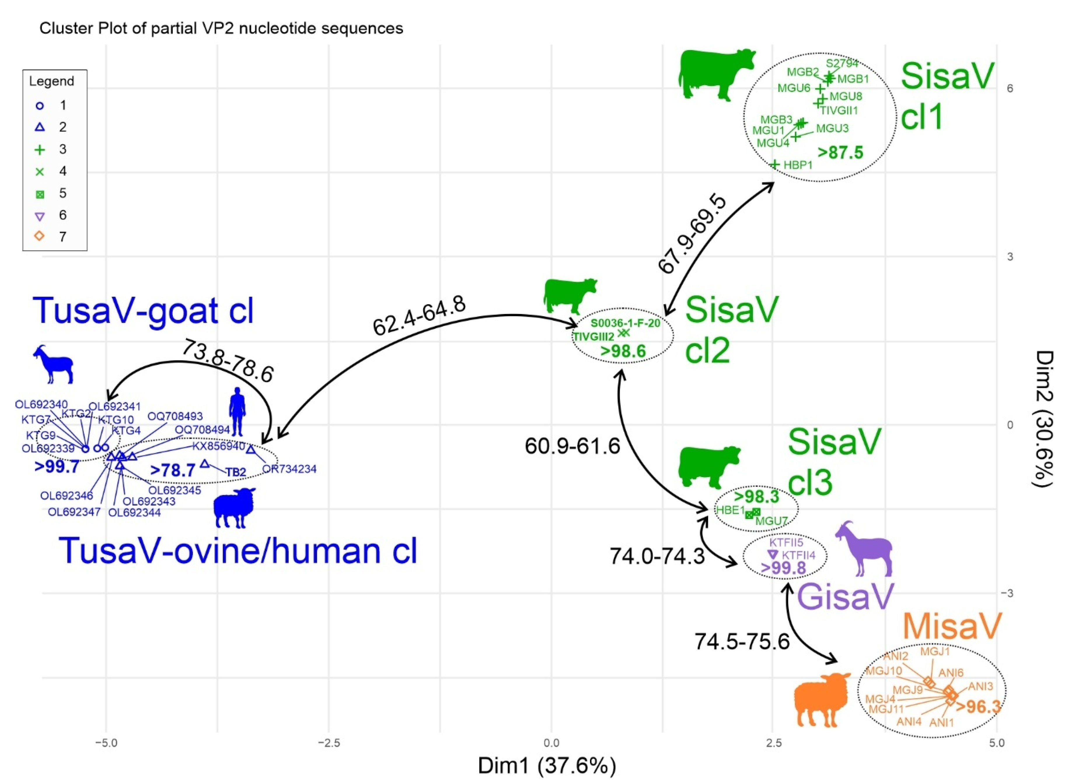 Viruses 17 00888 g007