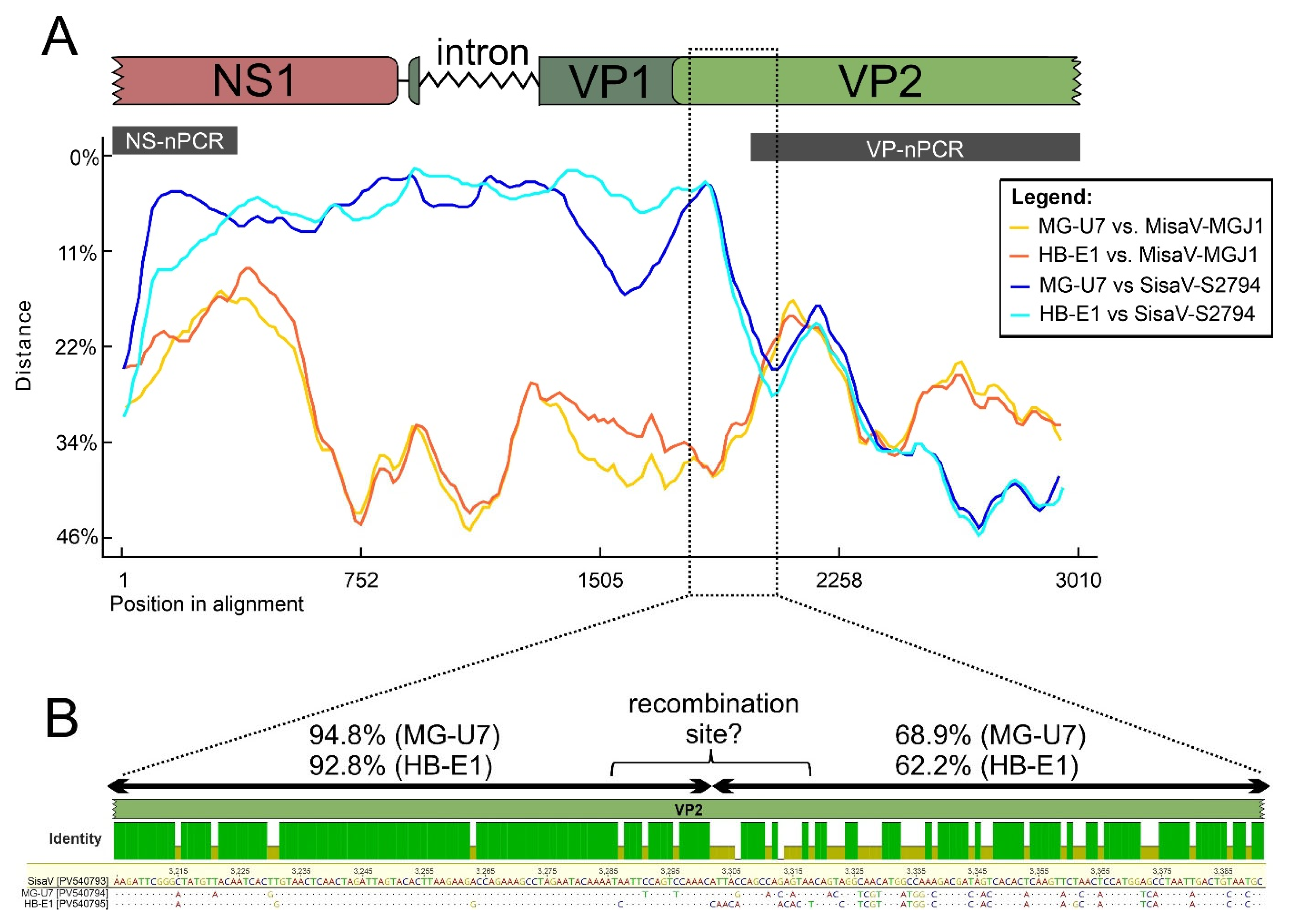 Viruses 17 00888 g008