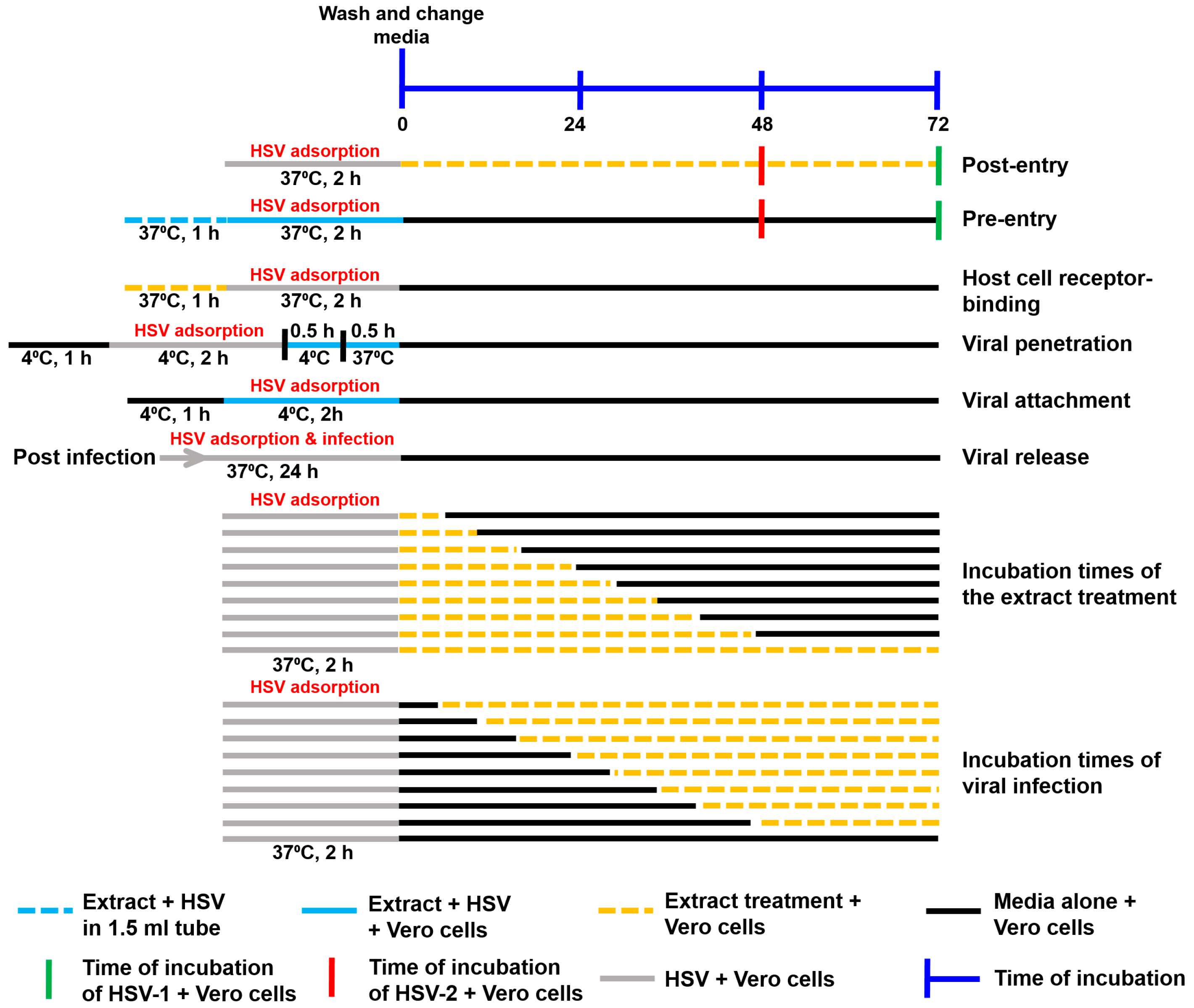 Viruses 17 00889 g001