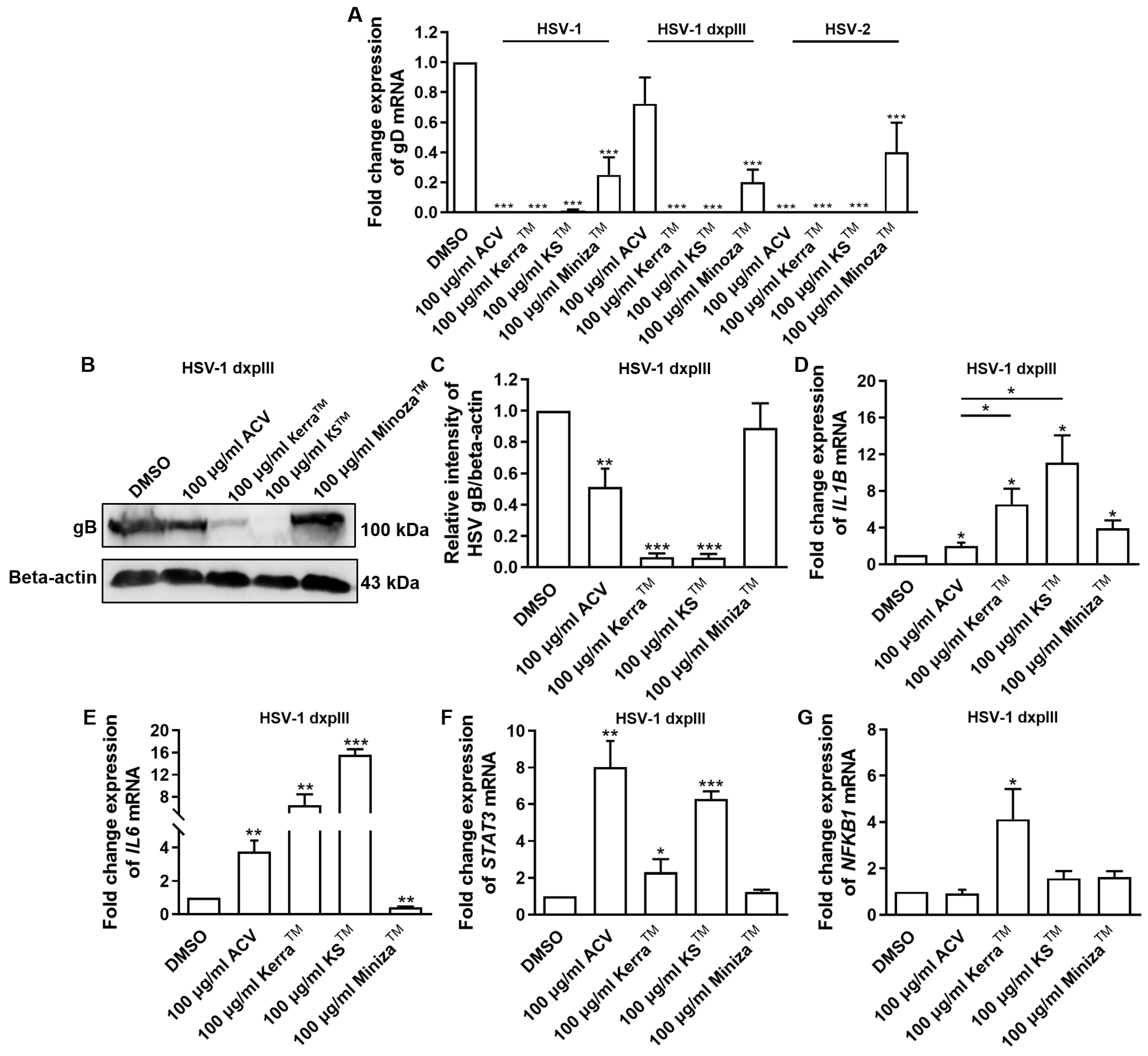 Viruses 17 00889 g005