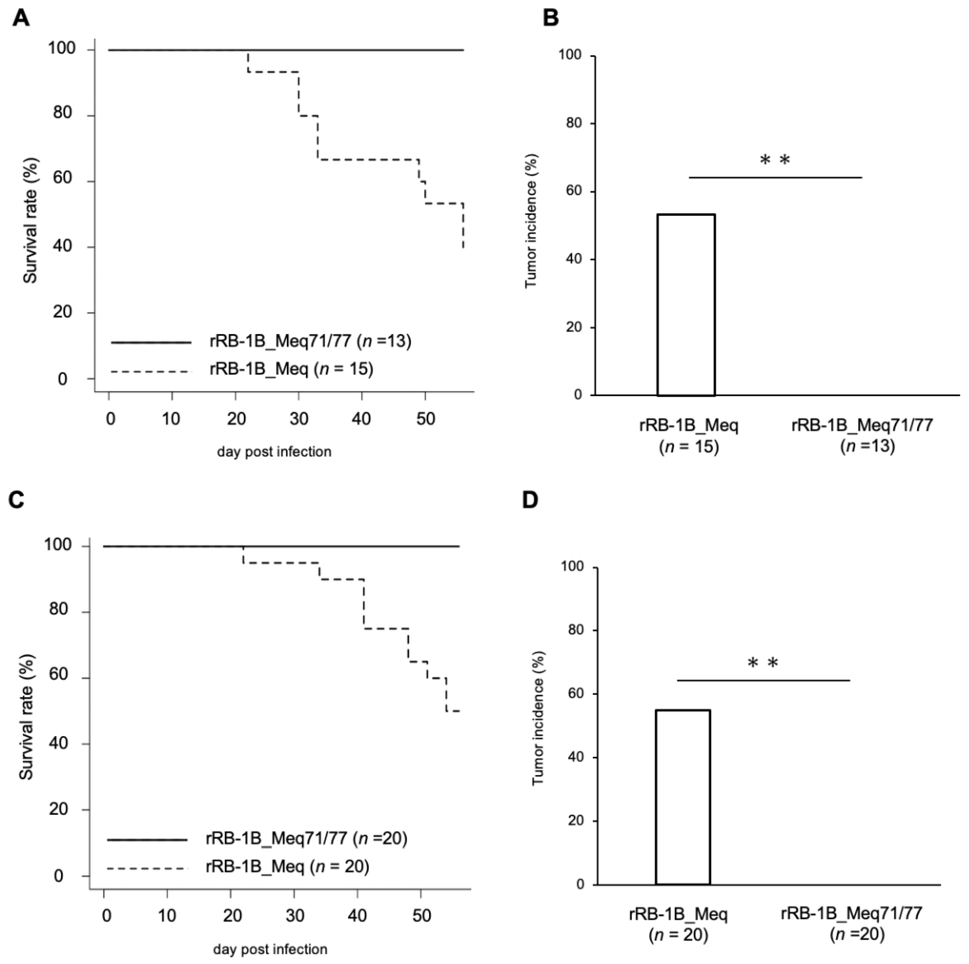 Viruses 17 00907 g003