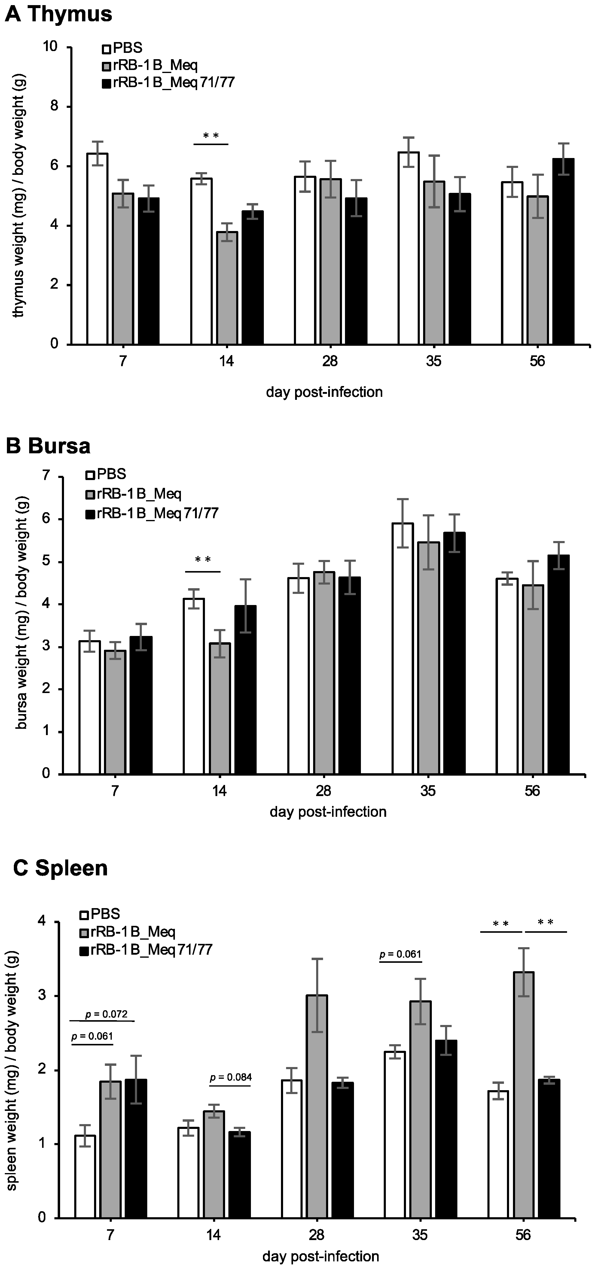 Viruses 17 00907 g004
