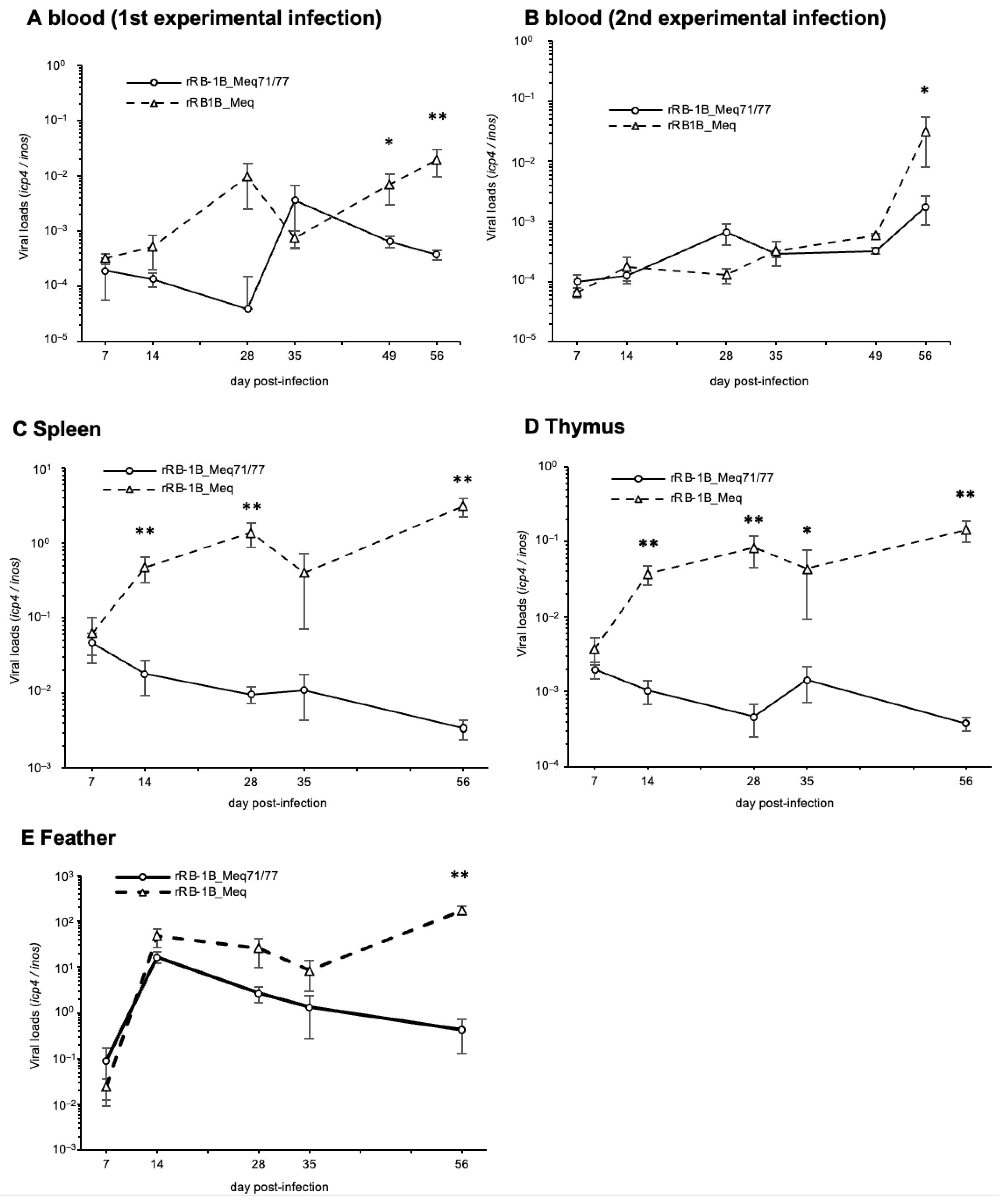 Viruses 17 00907 g006