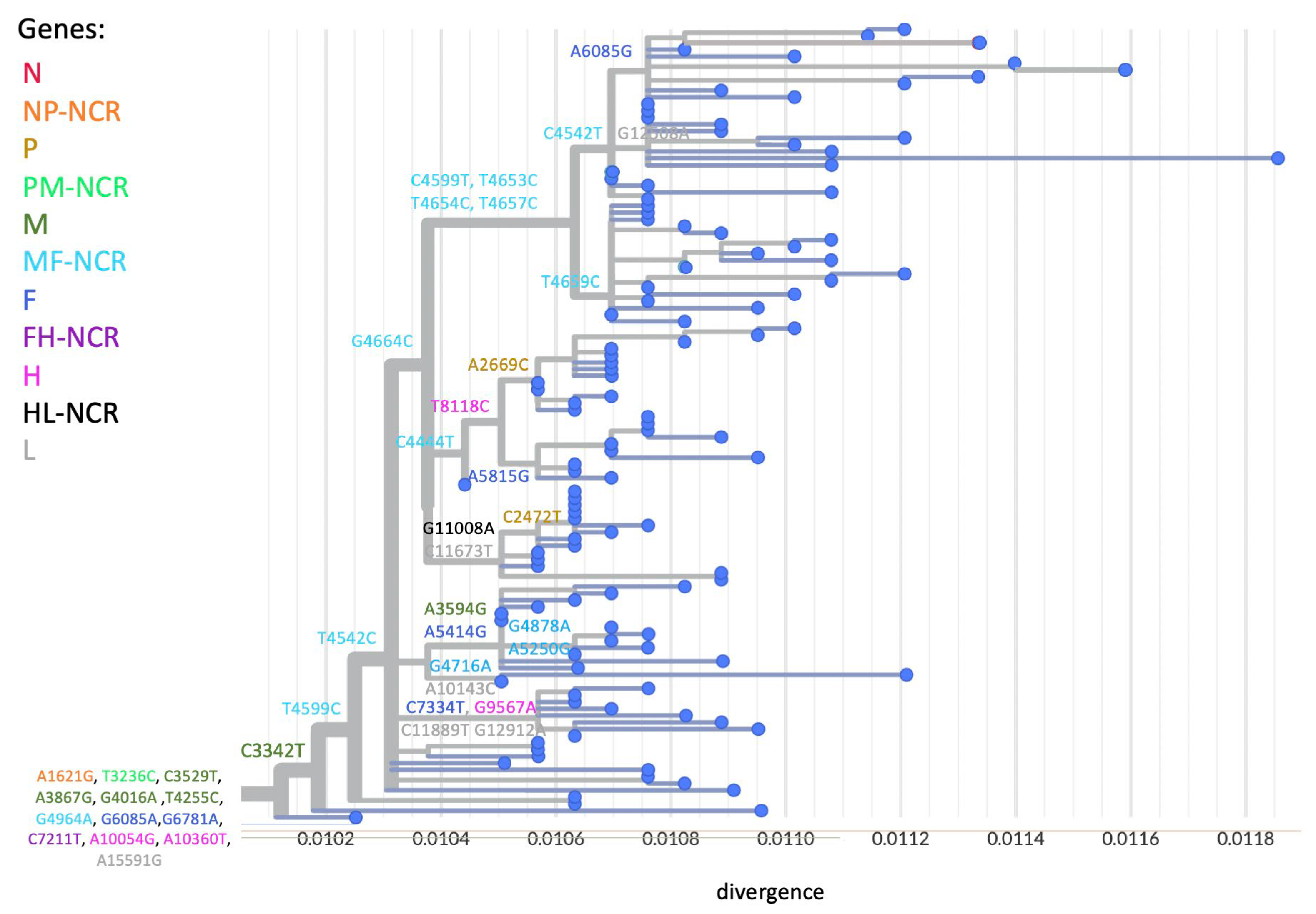Viruses 17 00913 g004