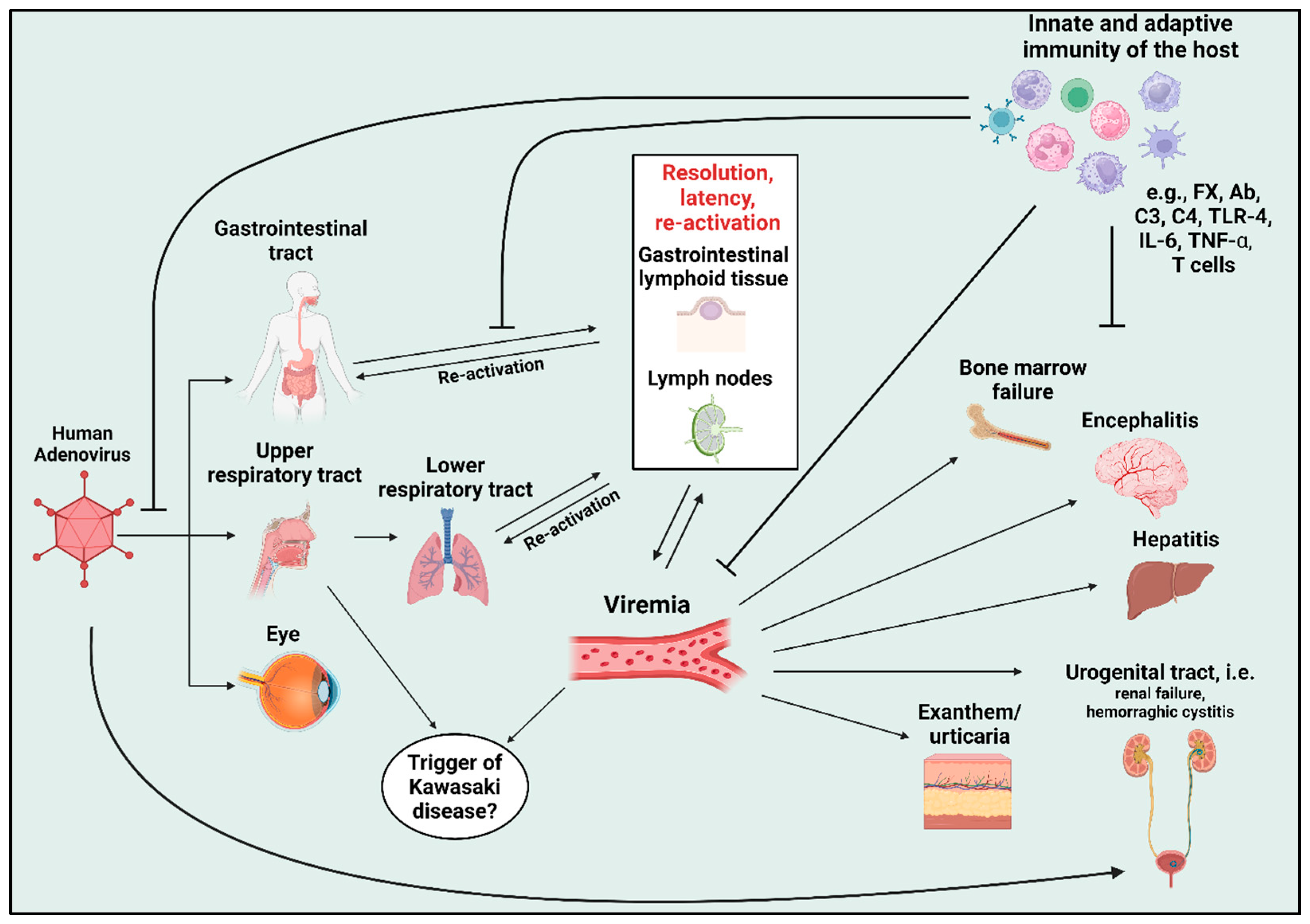 Viruses 17 00914 g001