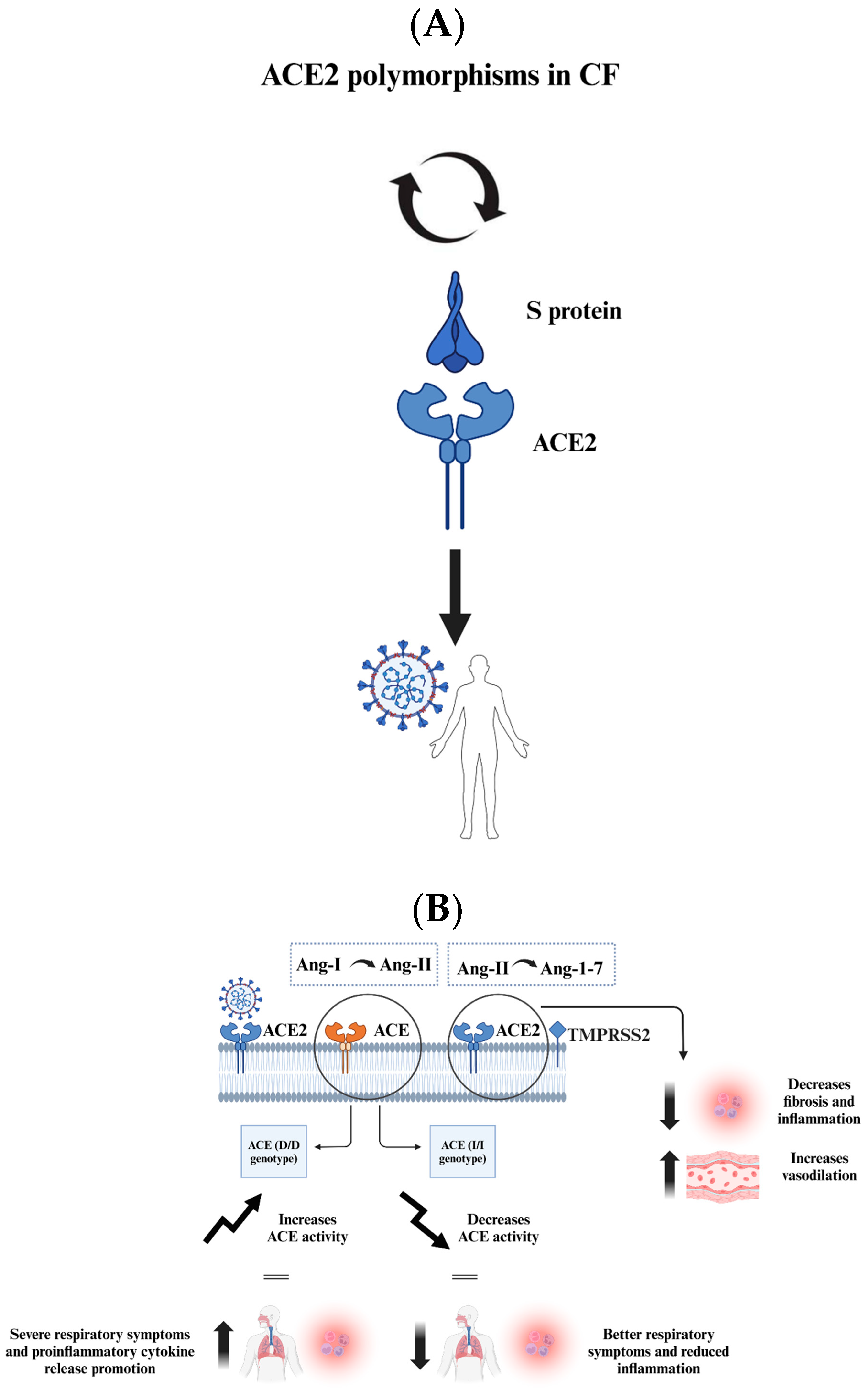 Viruses 17 00919 g005
