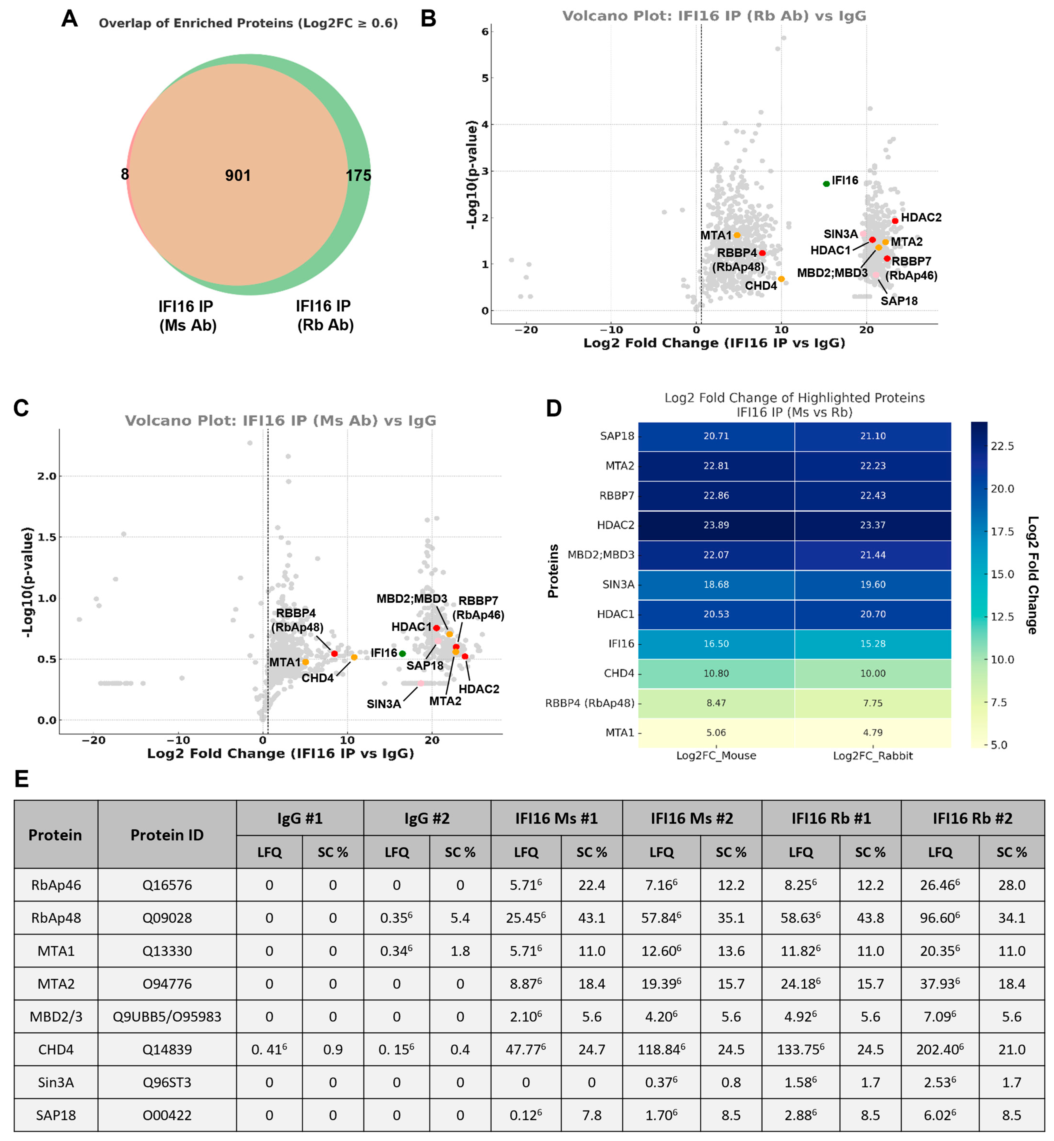 Viruses 17 00921 g002