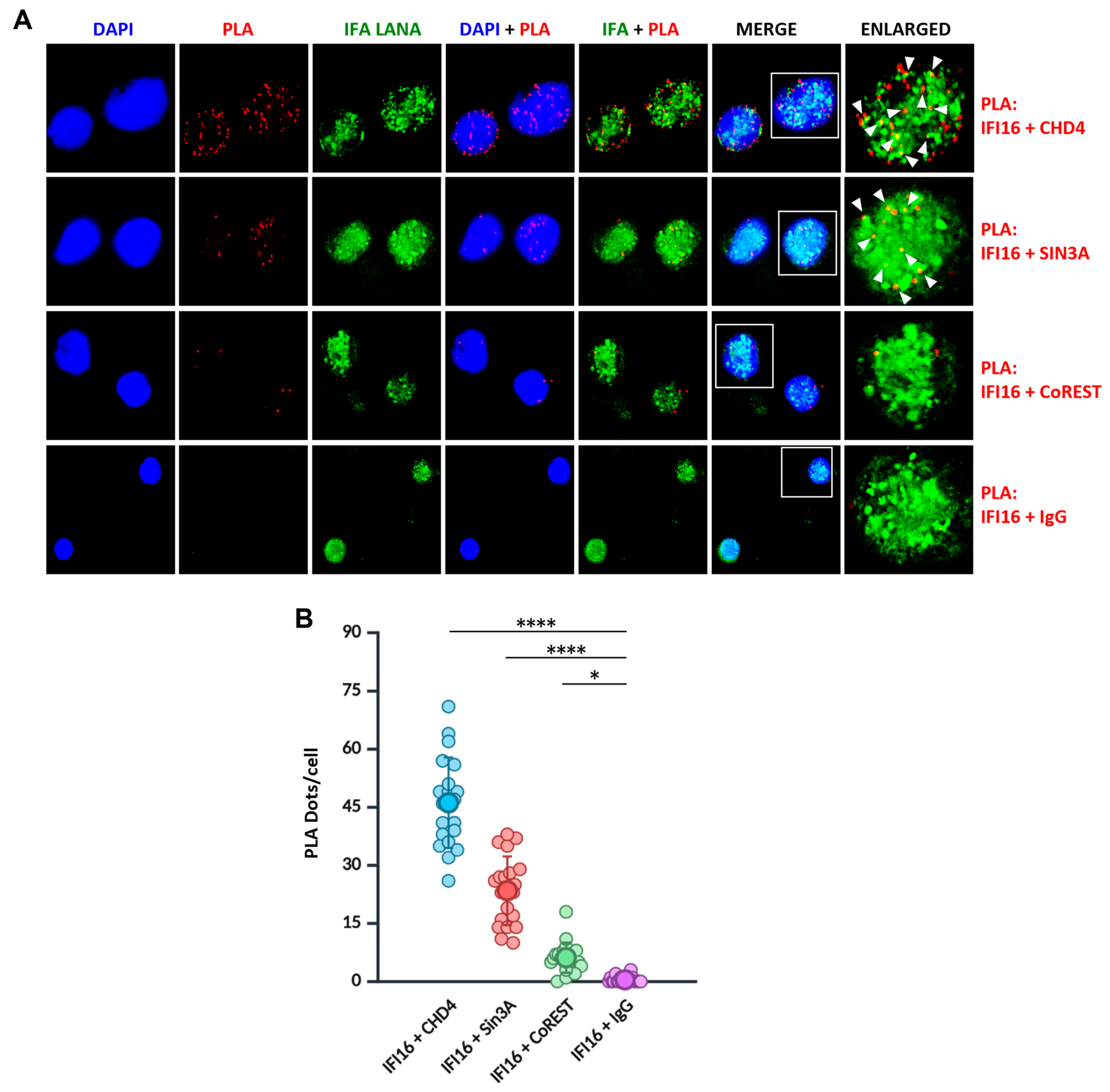 Viruses 17 00921 g003