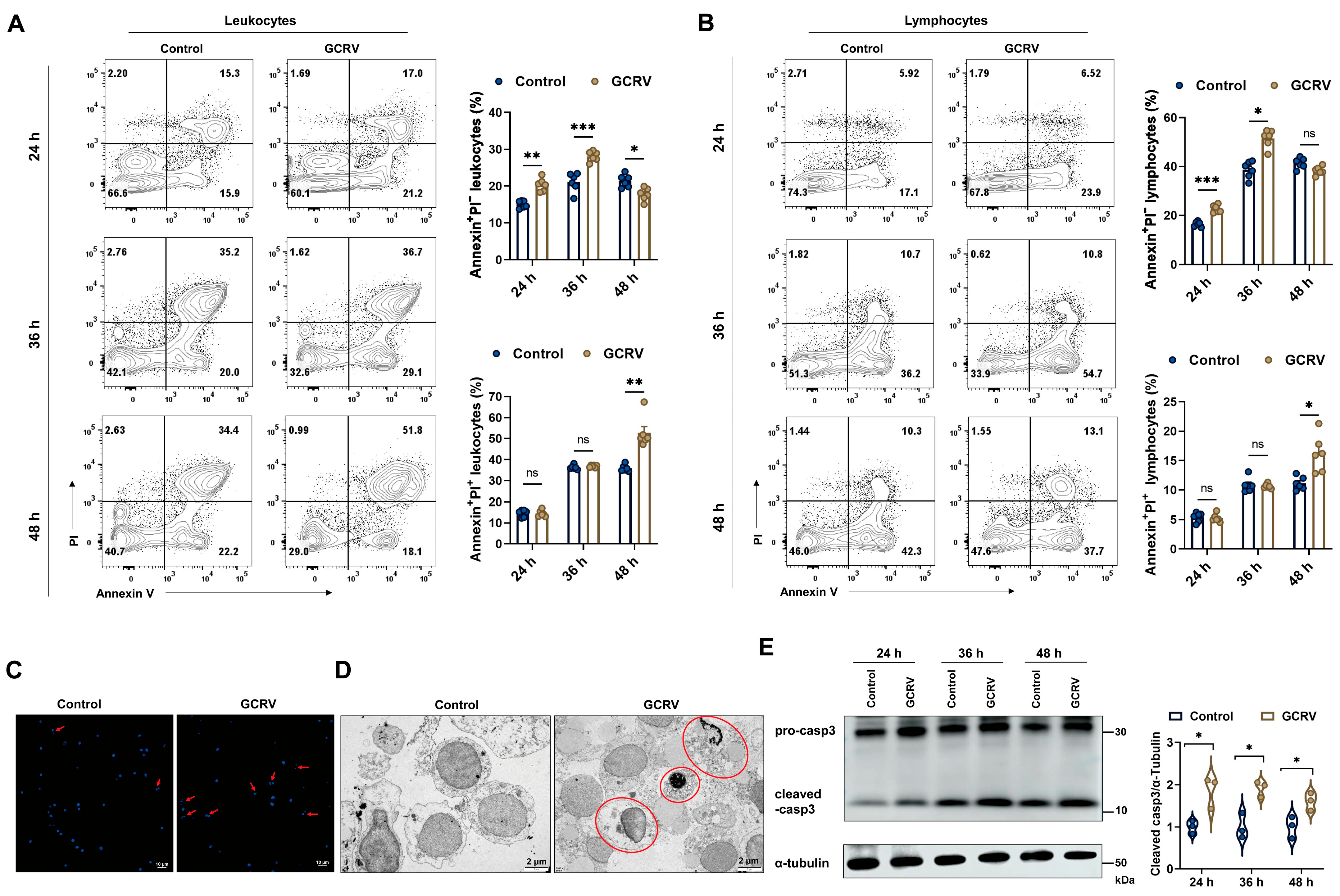 Viruses 17 00930 g003