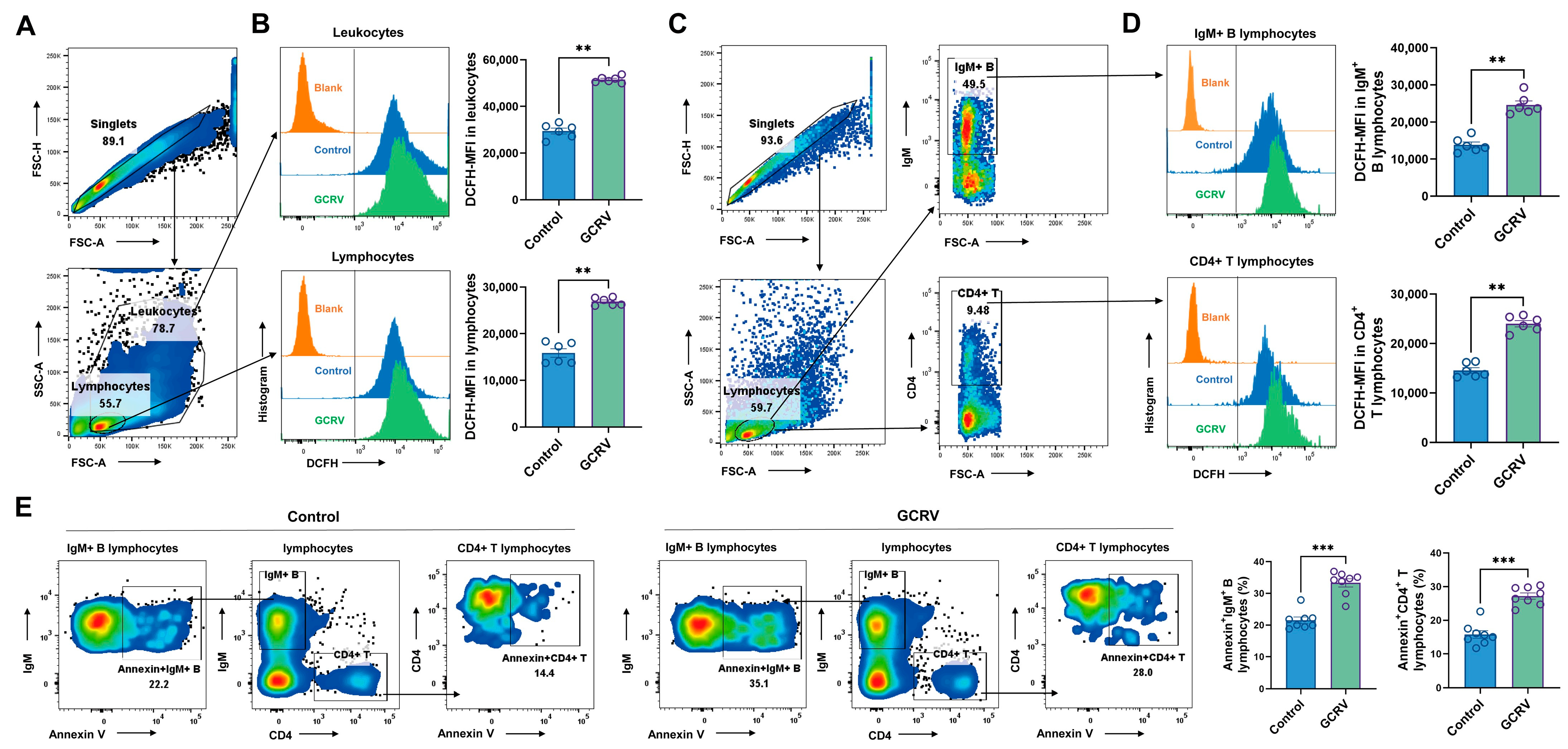 Viruses 17 00930 g004