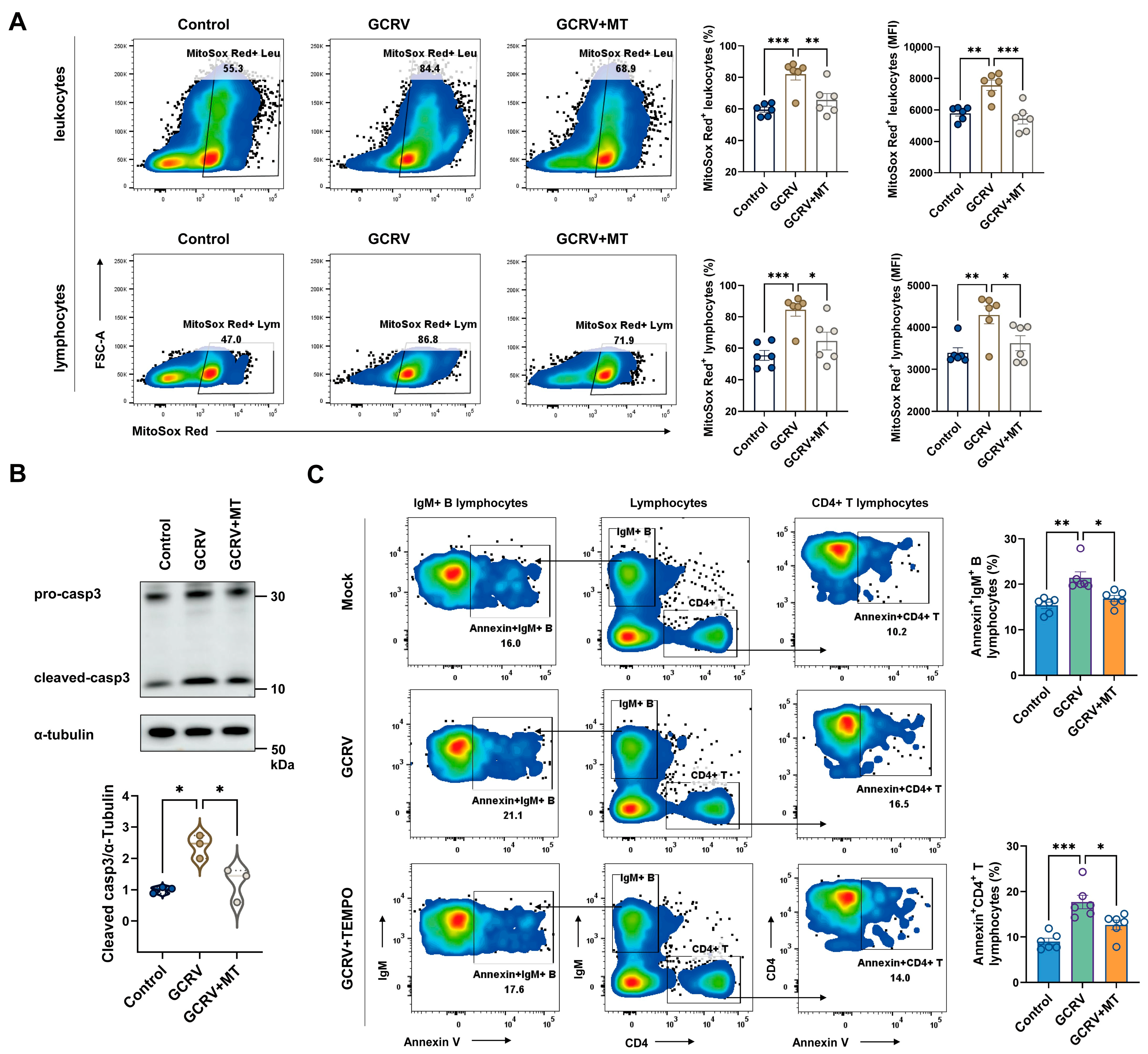 Viruses 17 00930 g005