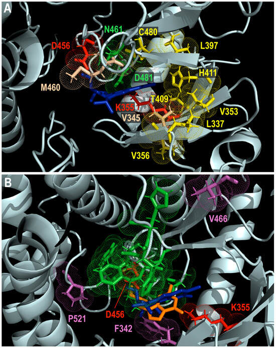 Viruses 17 00941 g004