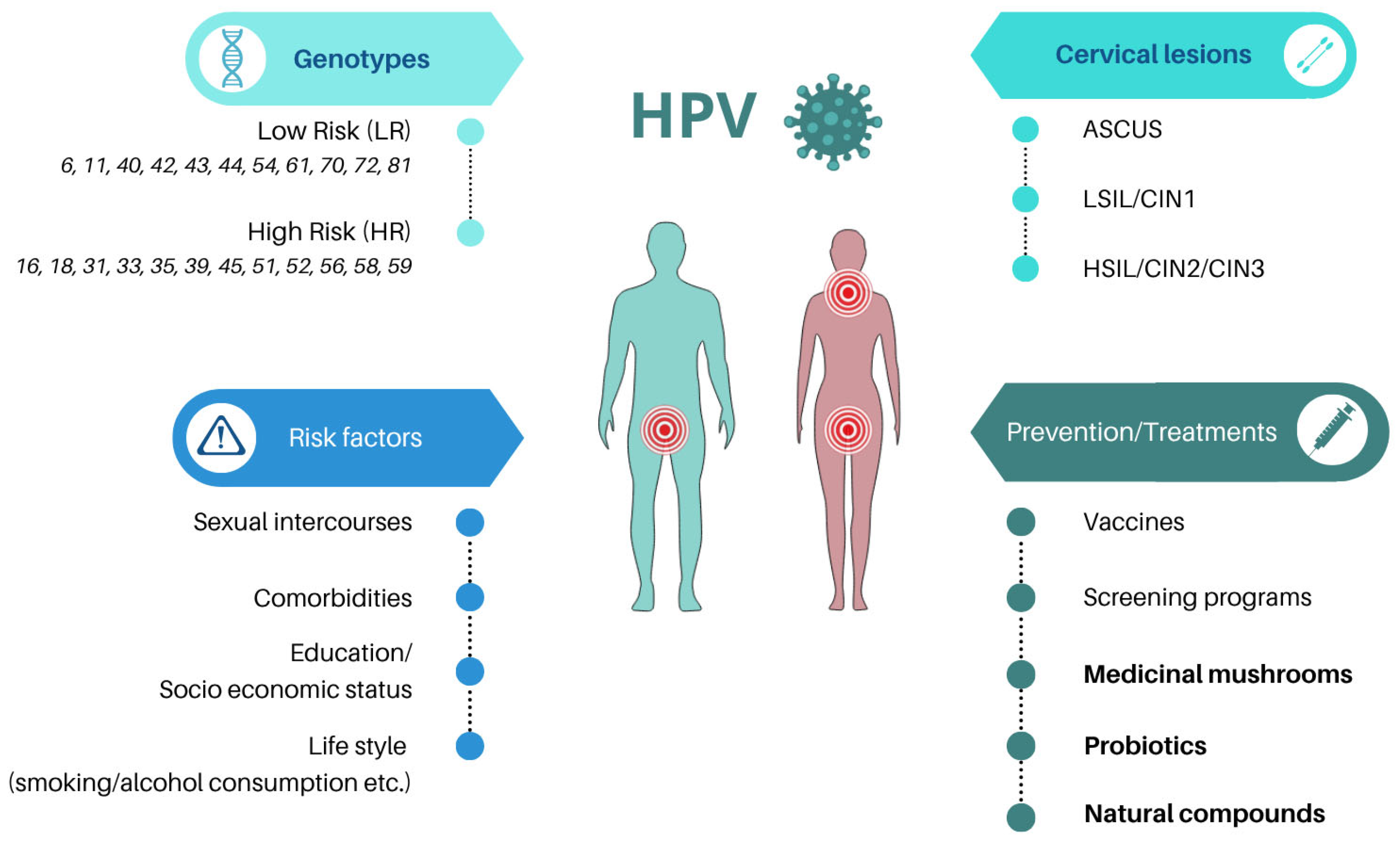 Viruses 17 00942 g001