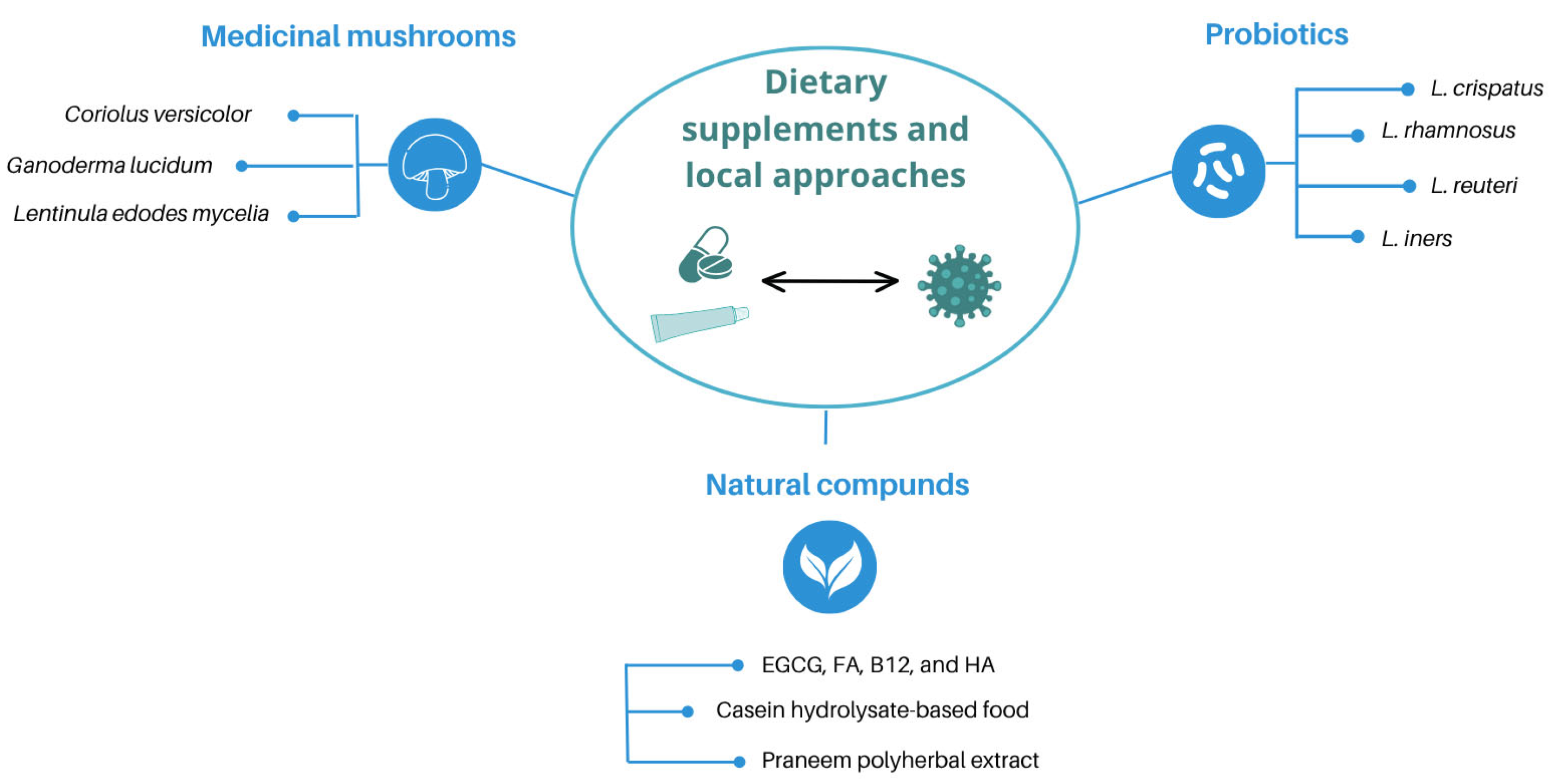 Viruses 17 00942 g002