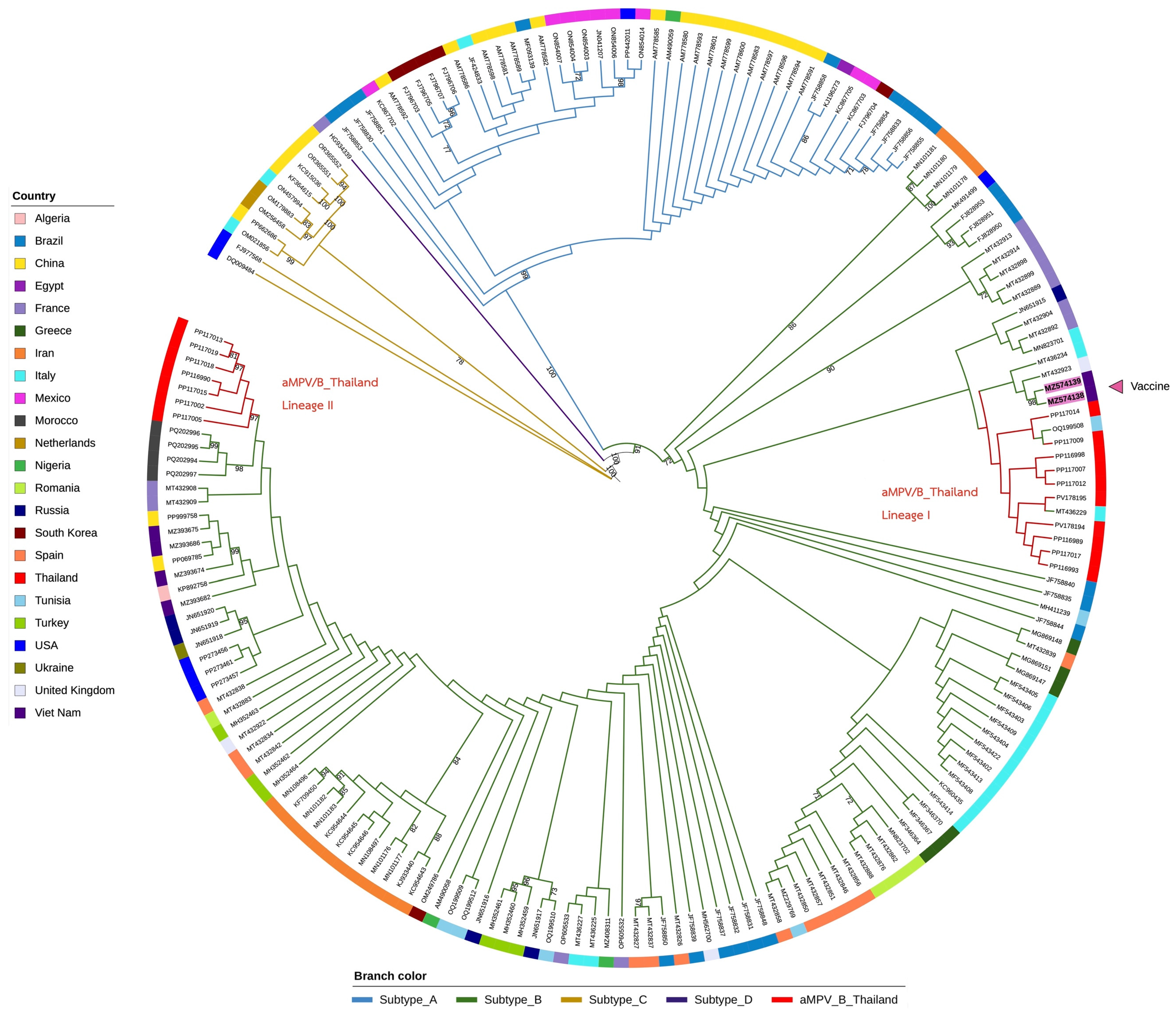 Viruses 17 00965 g002