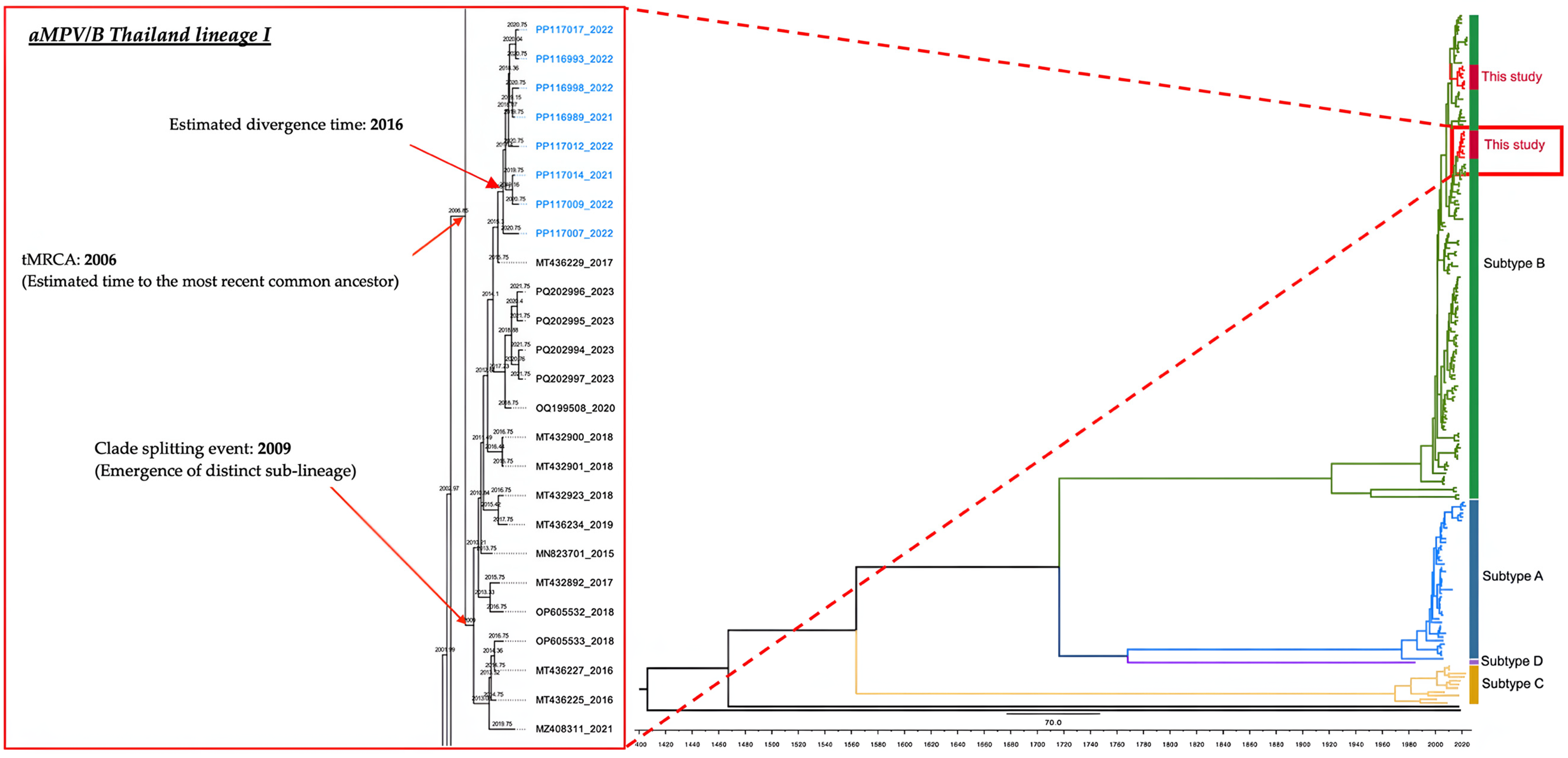 Viruses 17 00965 g003