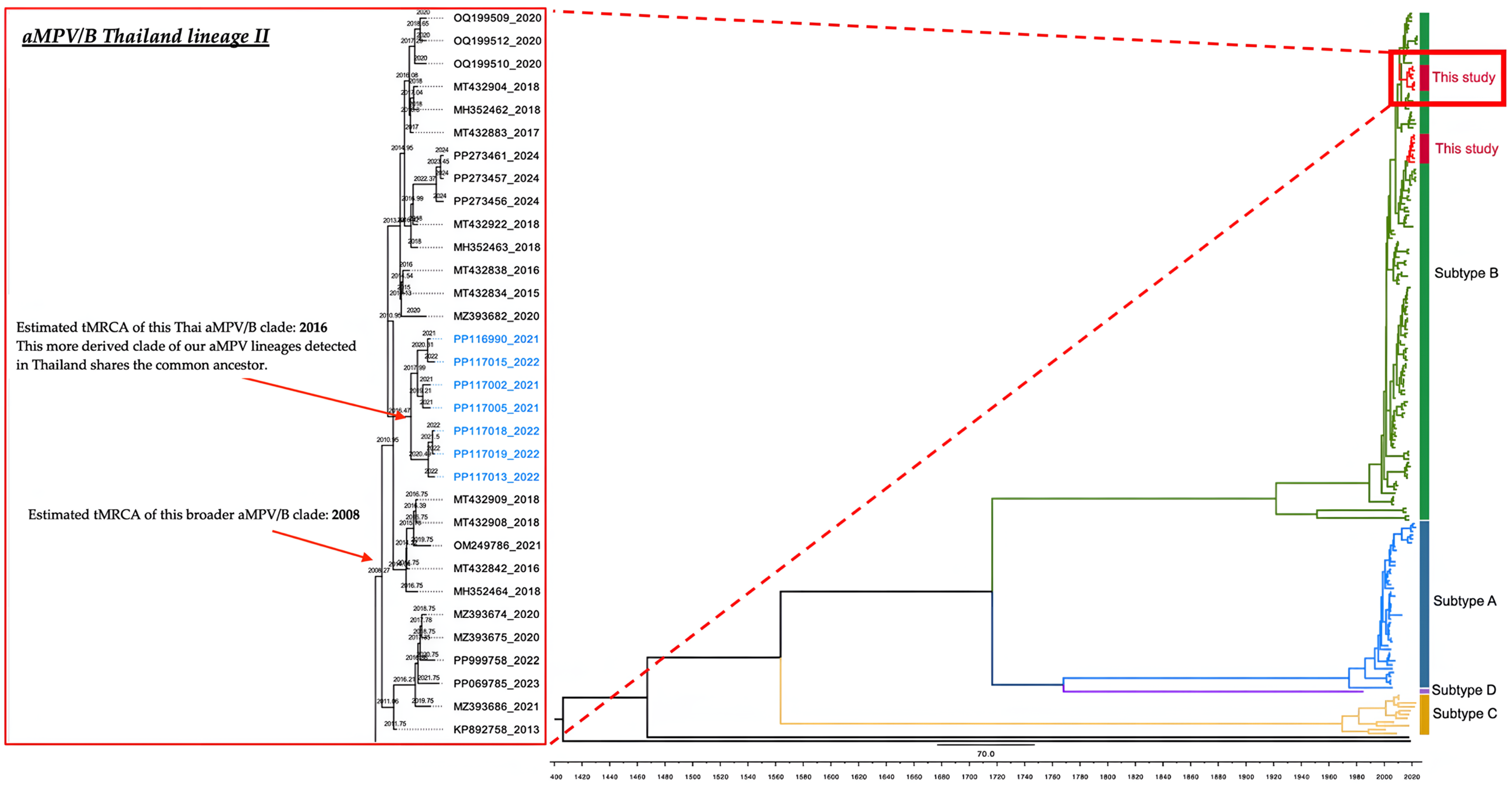 Viruses 17 00965 g004