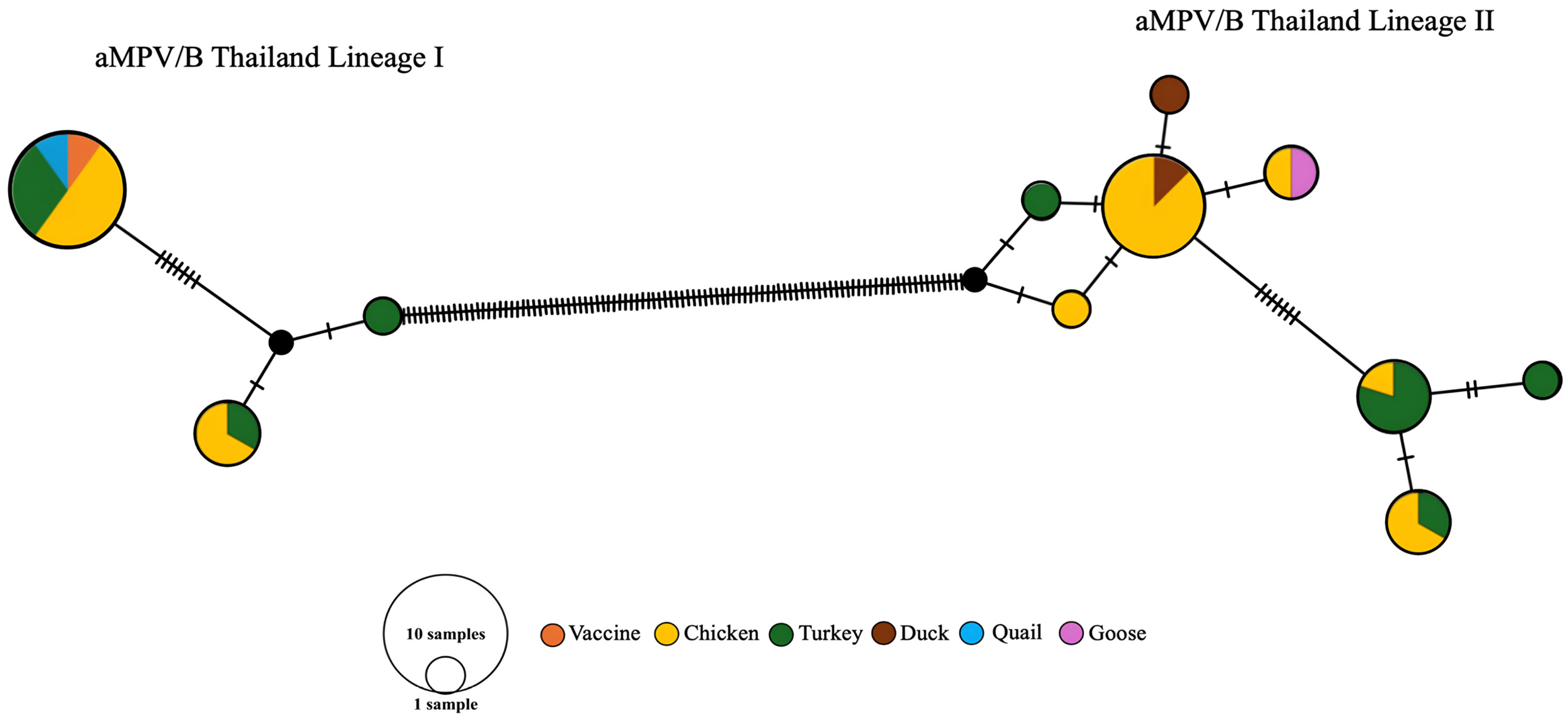 Viruses 17 00965 g005