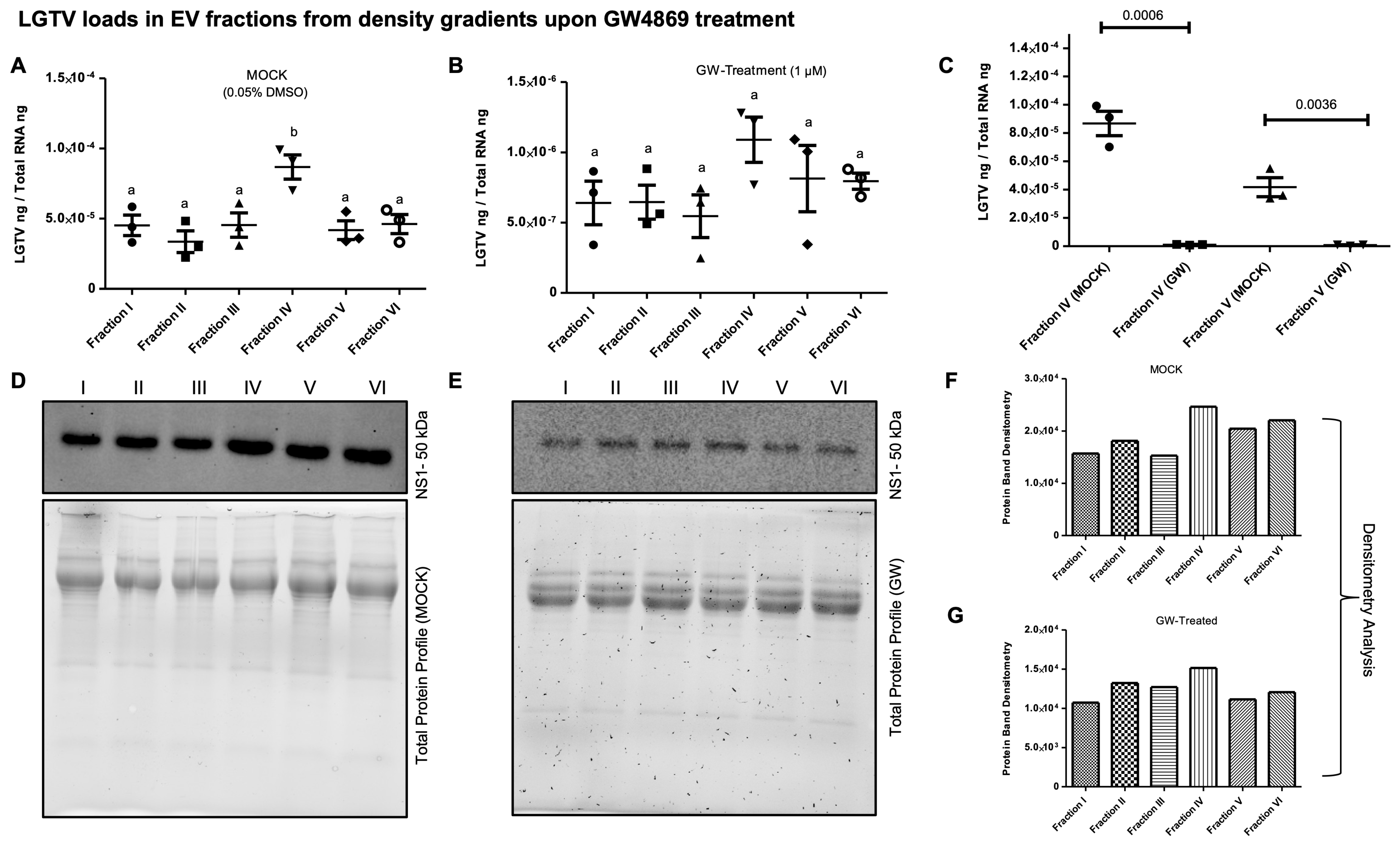 Viruses 17 00969 g006