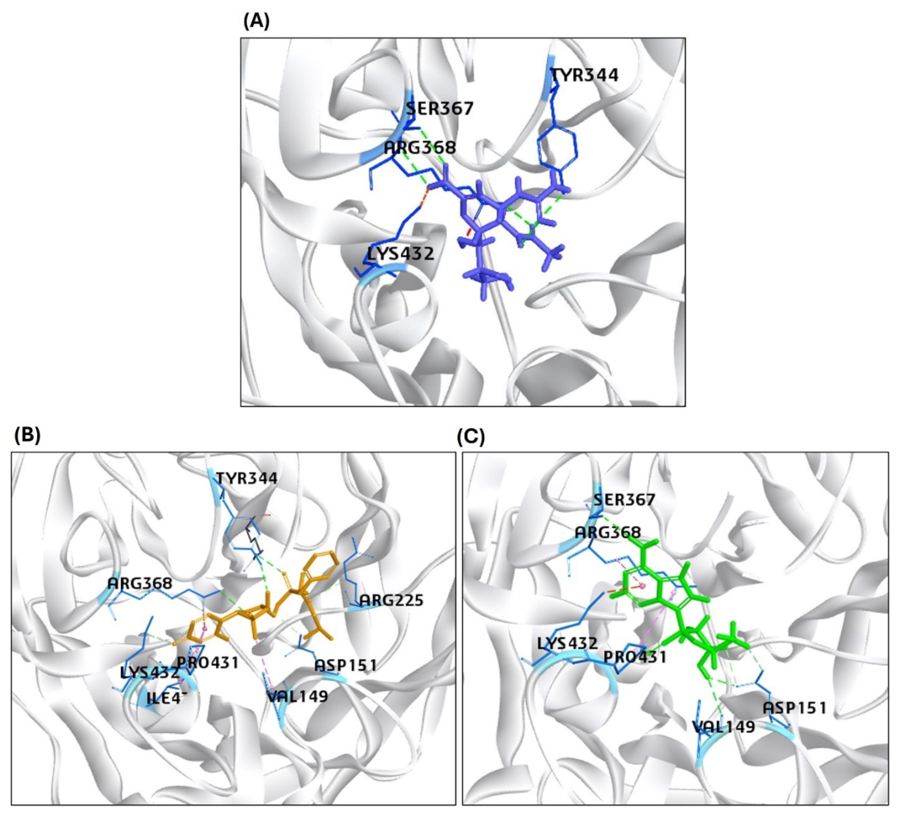 Viruses 17 00972 g004