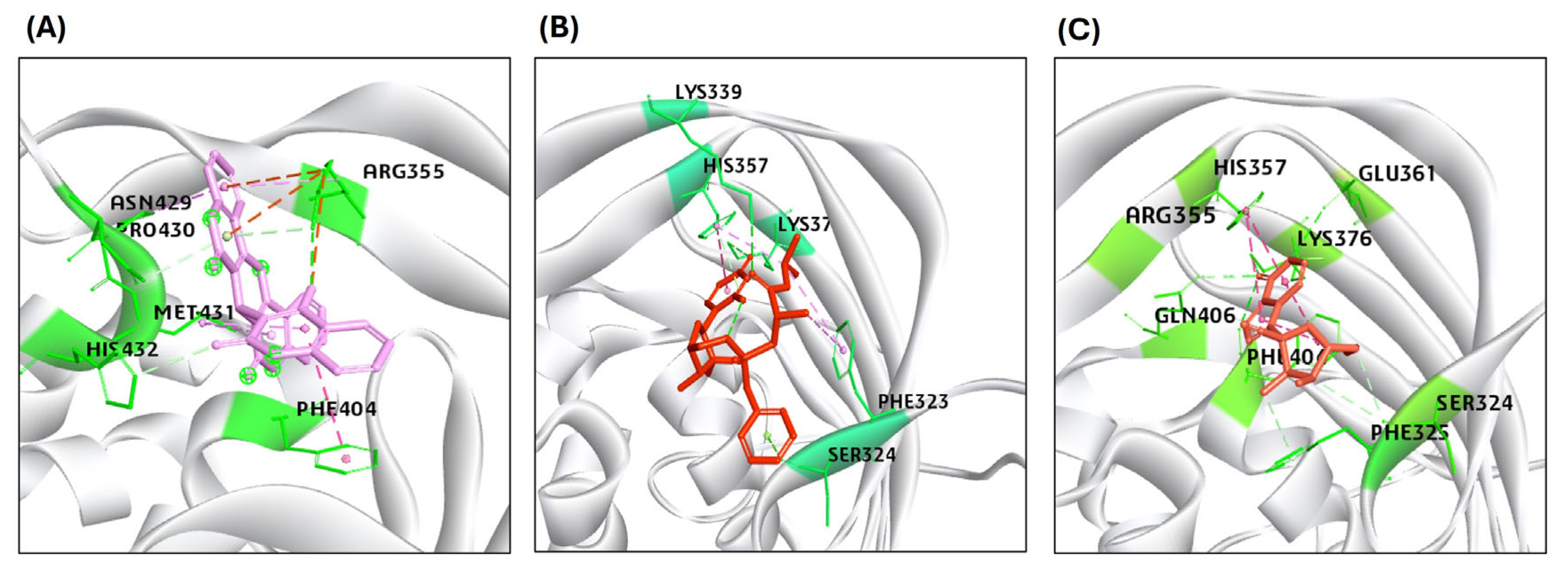 Viruses 17 00972 g005