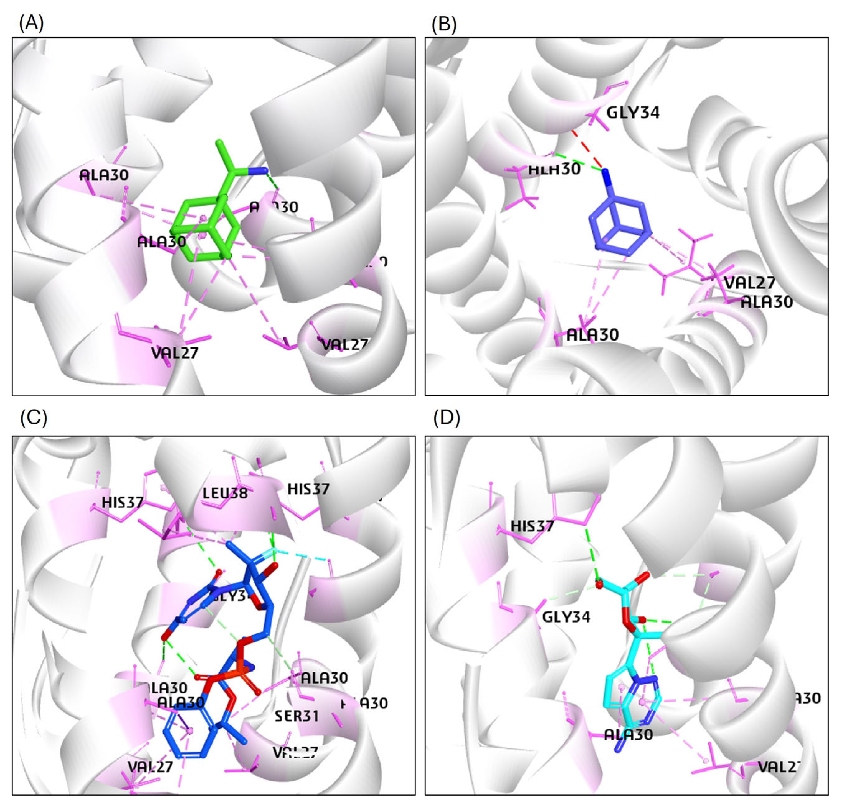 Viruses 17 00972 g006