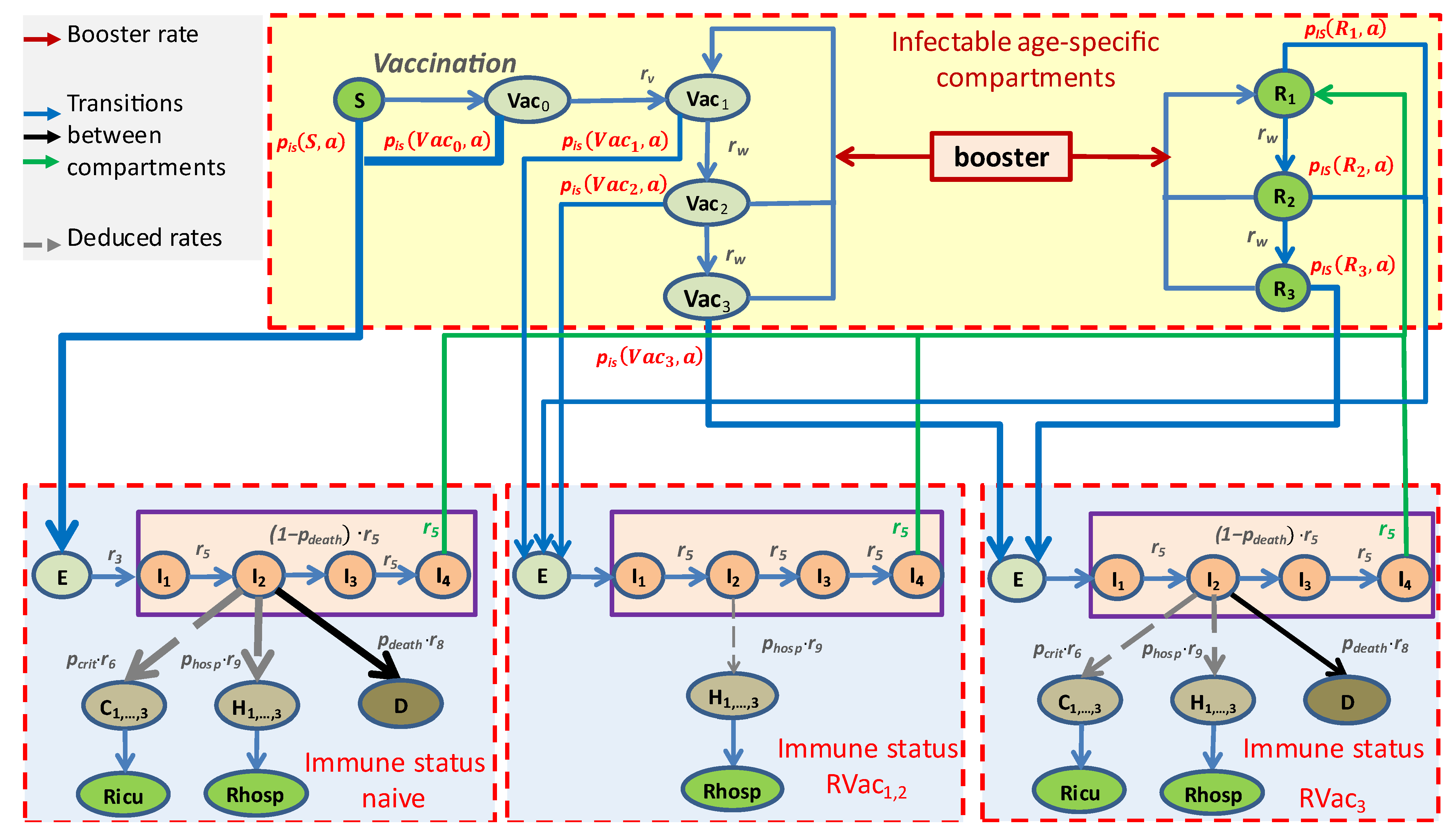 Viruses 17 00981 g002 Viruses 17 00981 g002