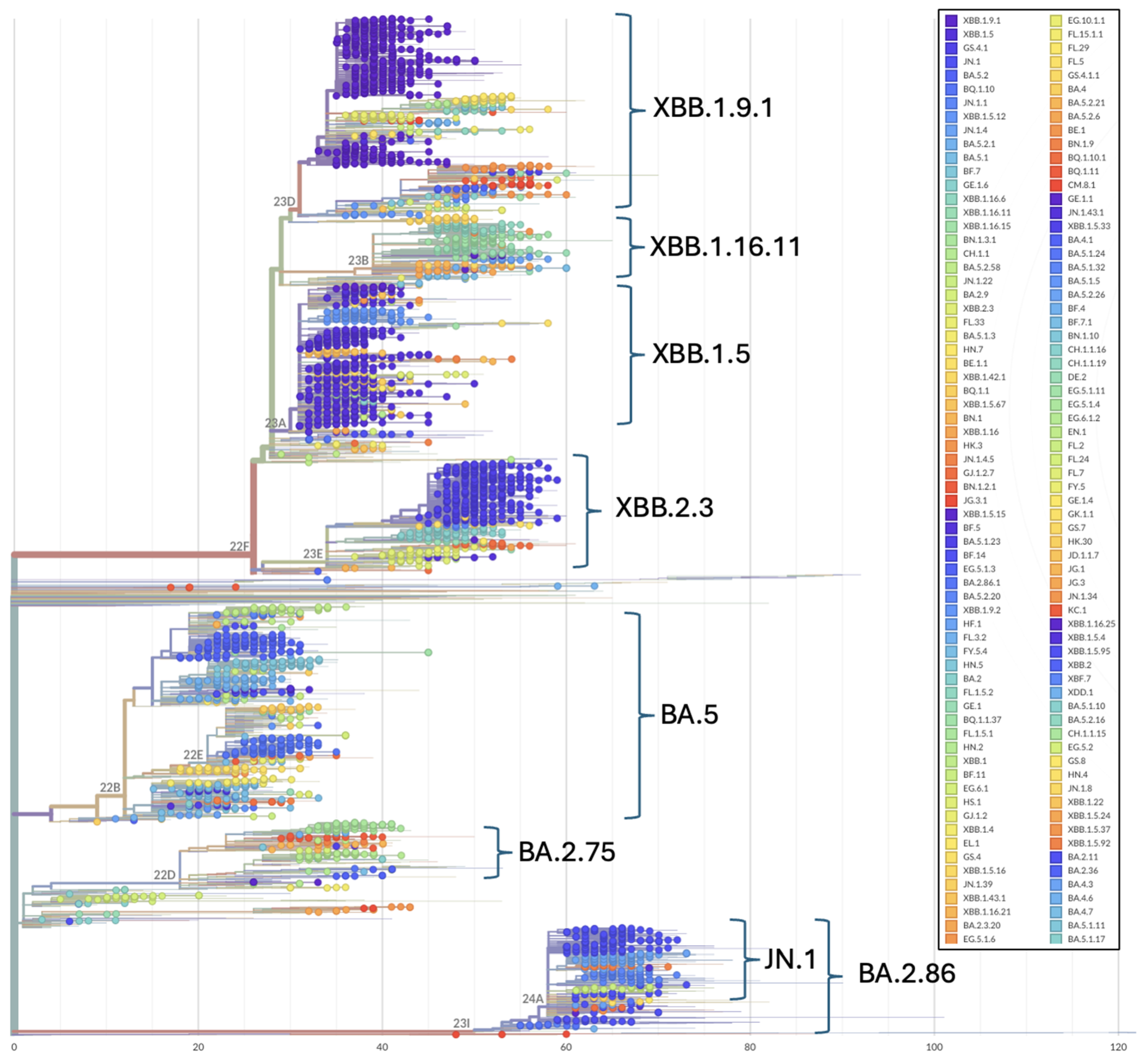 Viruses 17 01000 g003