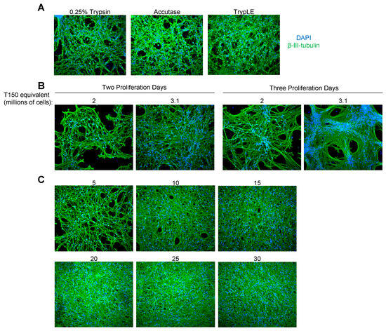 Viruses 17 01001 g0a1