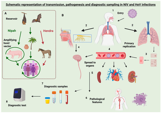 Viruses 17 01003 g0a1