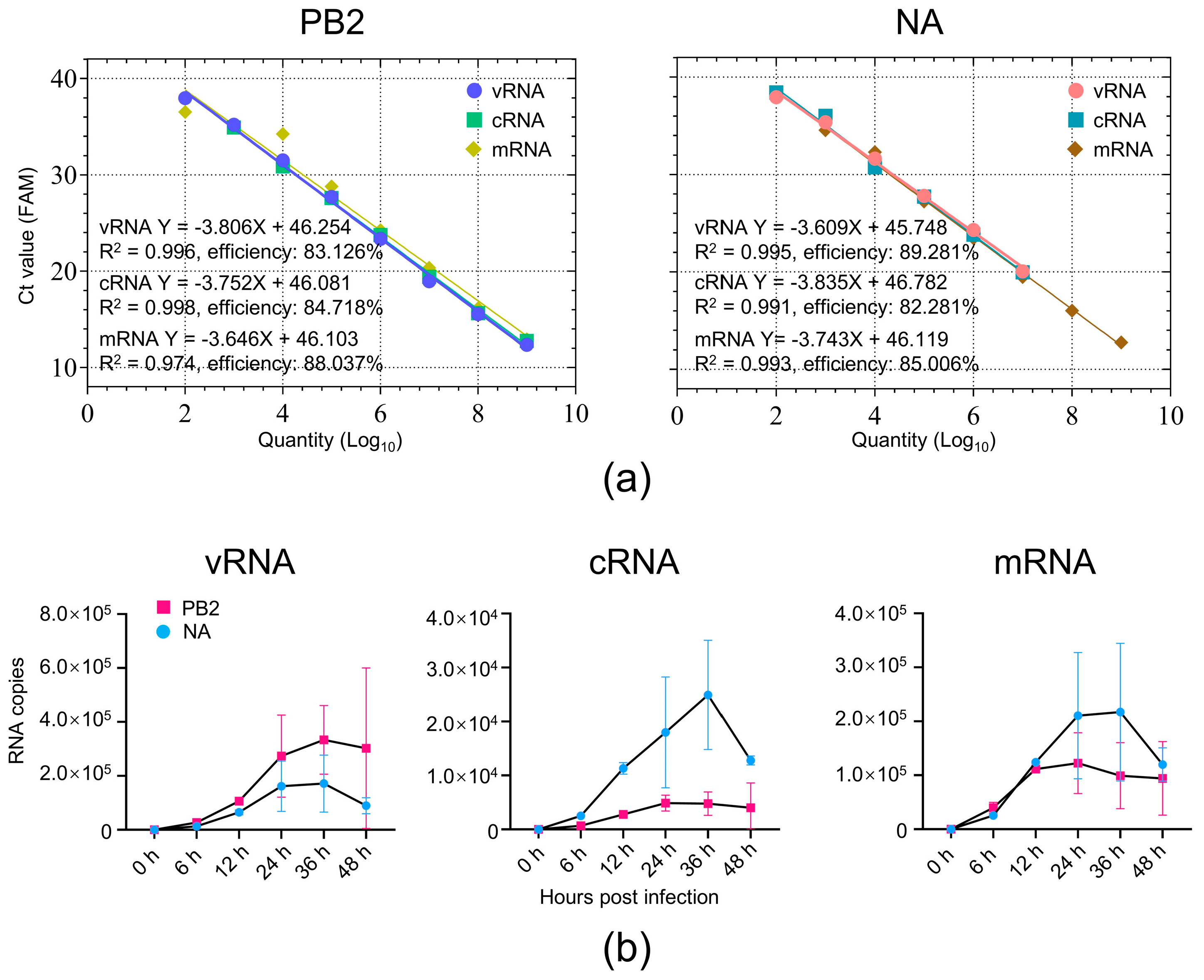 Viruses 17 01007 g002