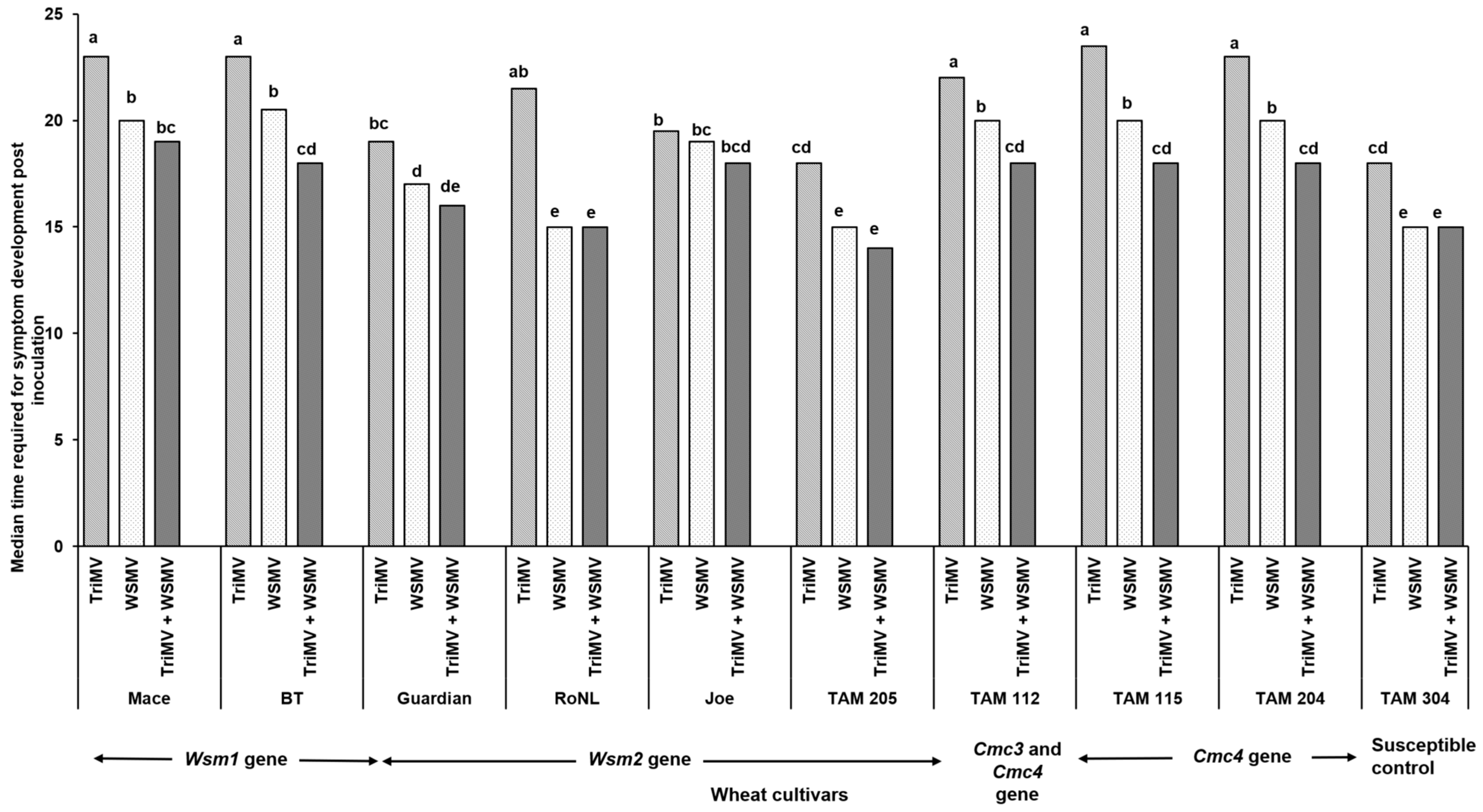 Viruses 17 01010 g001