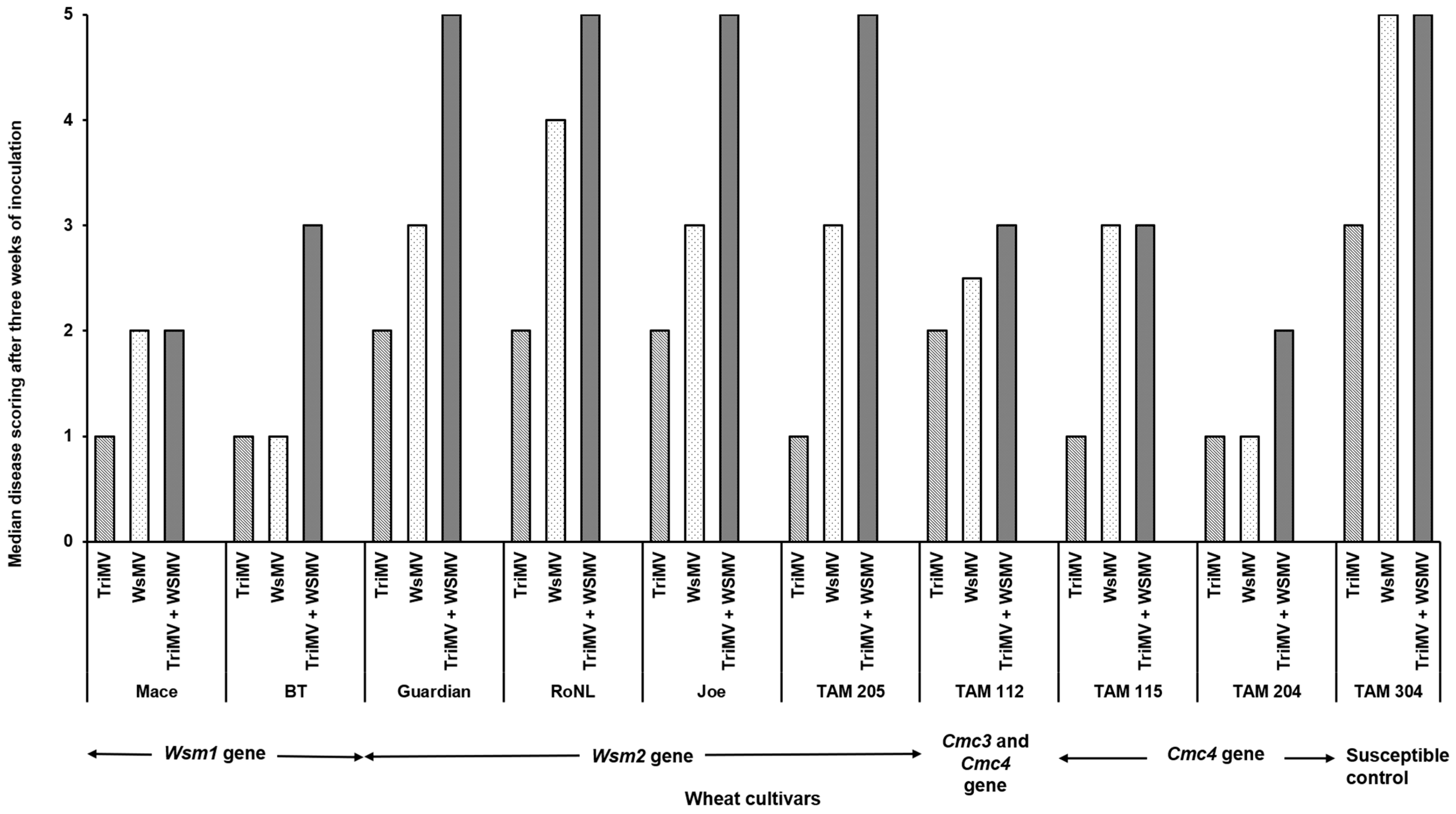 Viruses 17 01010 g002