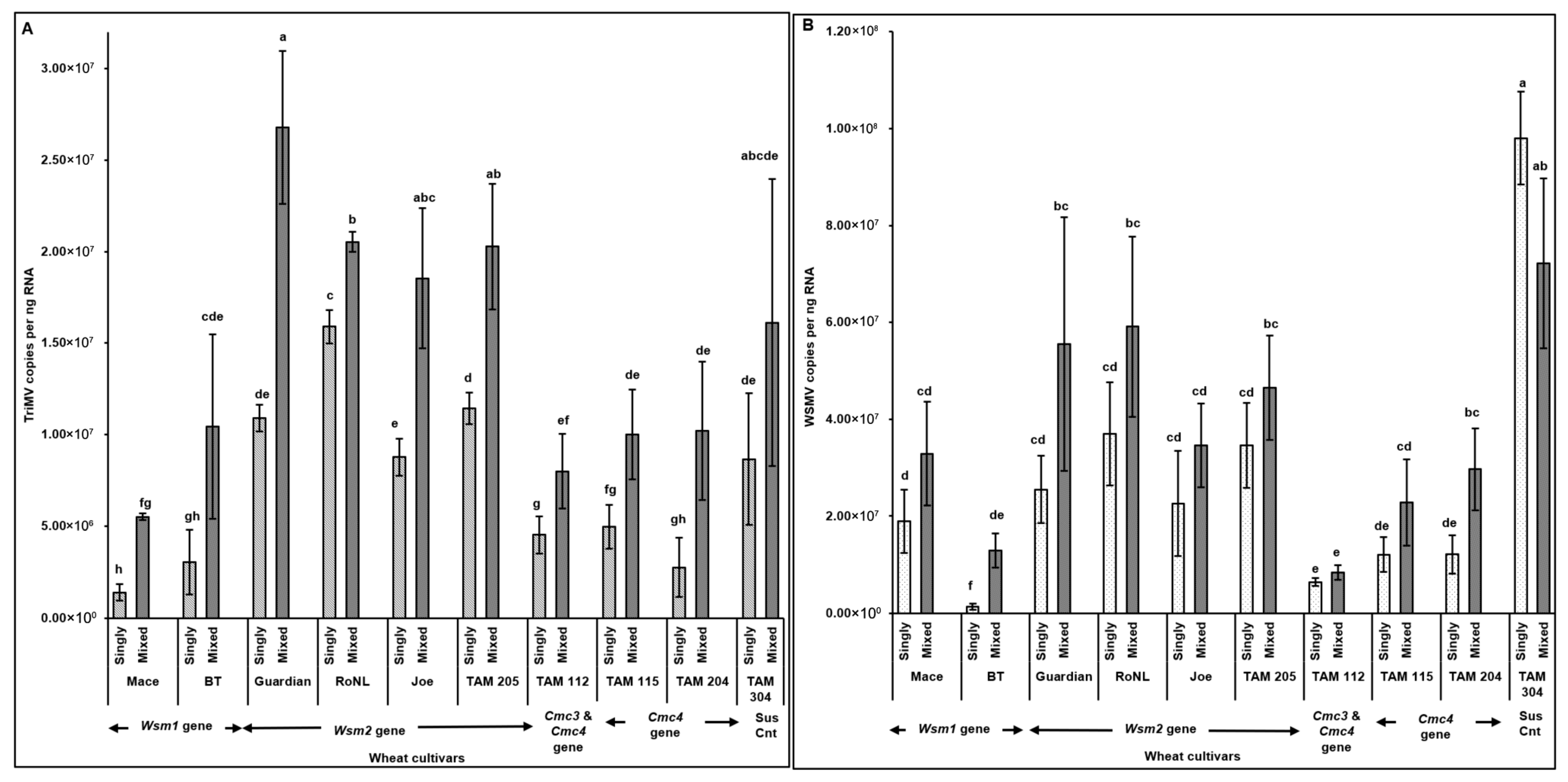 Viruses 17 01010 g003