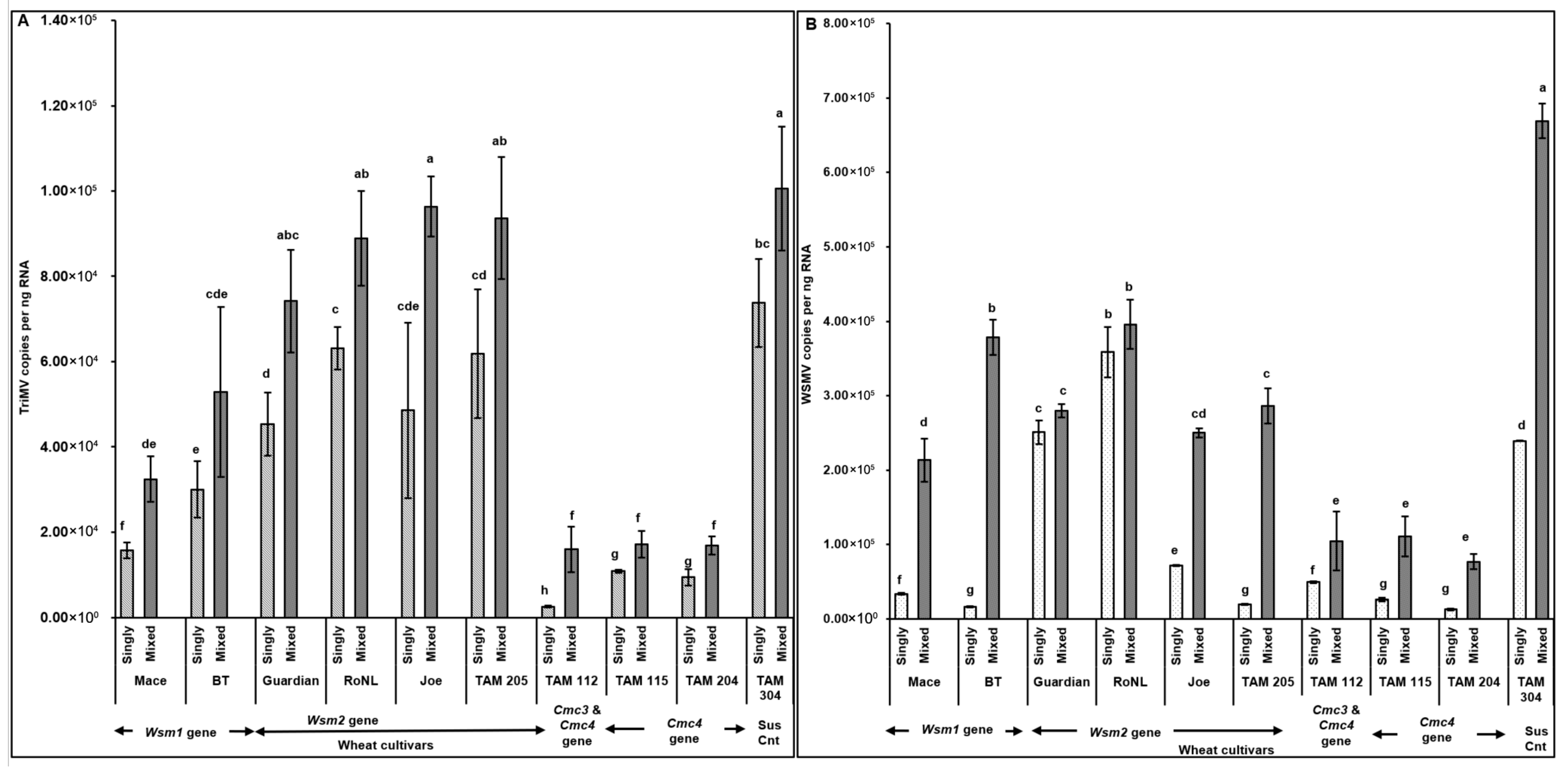 Viruses 17 01010 g006