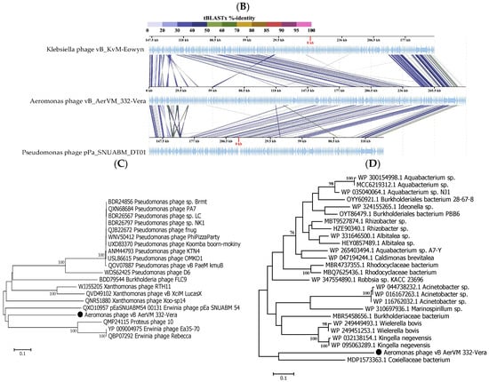 Viruses 17 01027 g005b
