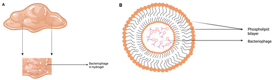 Viruses 17 01033 g003