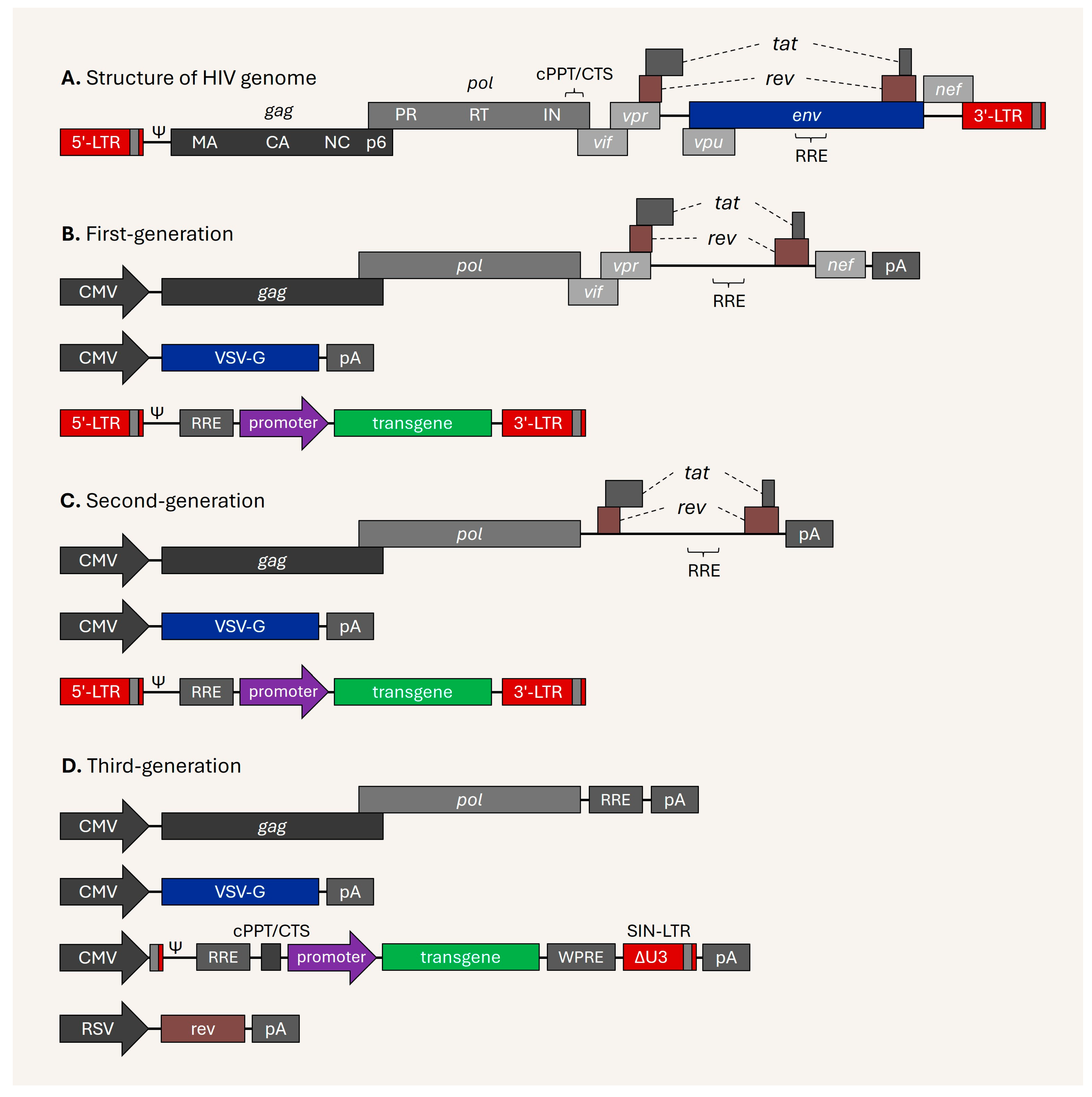 Viruses 17 01036 g001
